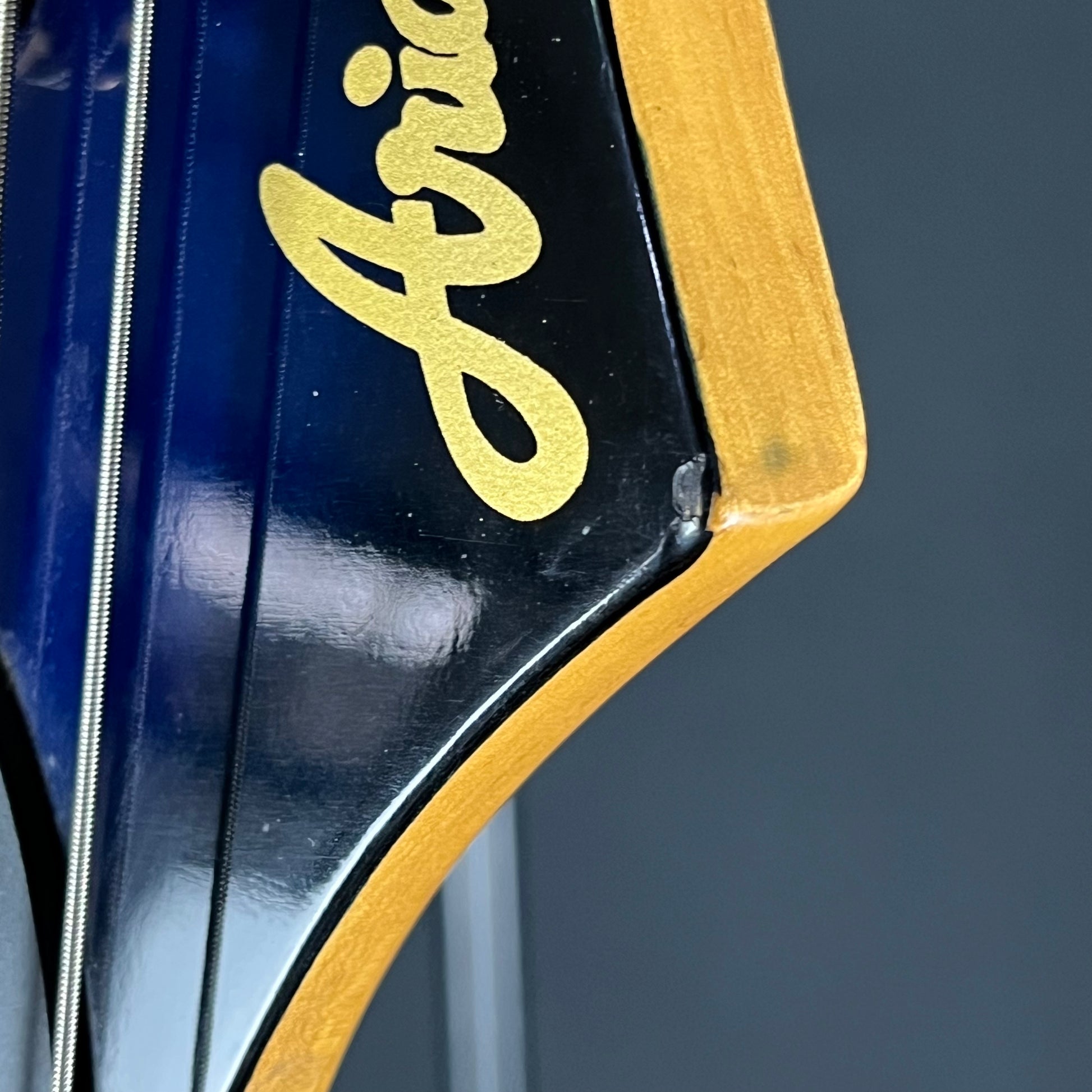 Aria Pro II Magna Series Bass