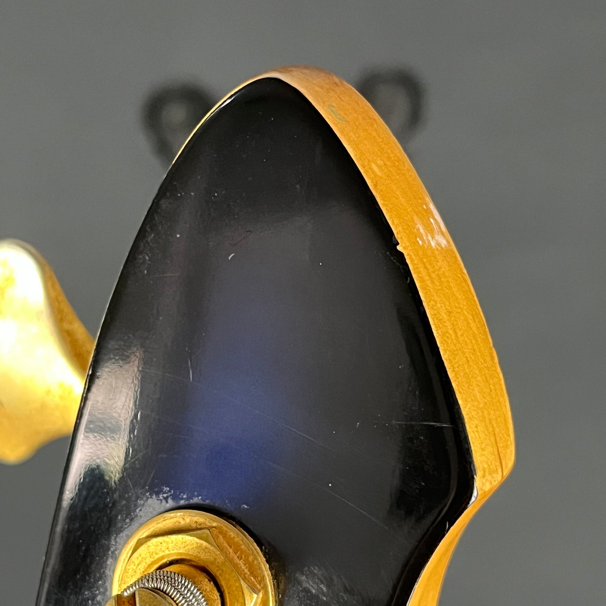 Aria Pro II Magna Series Bass
