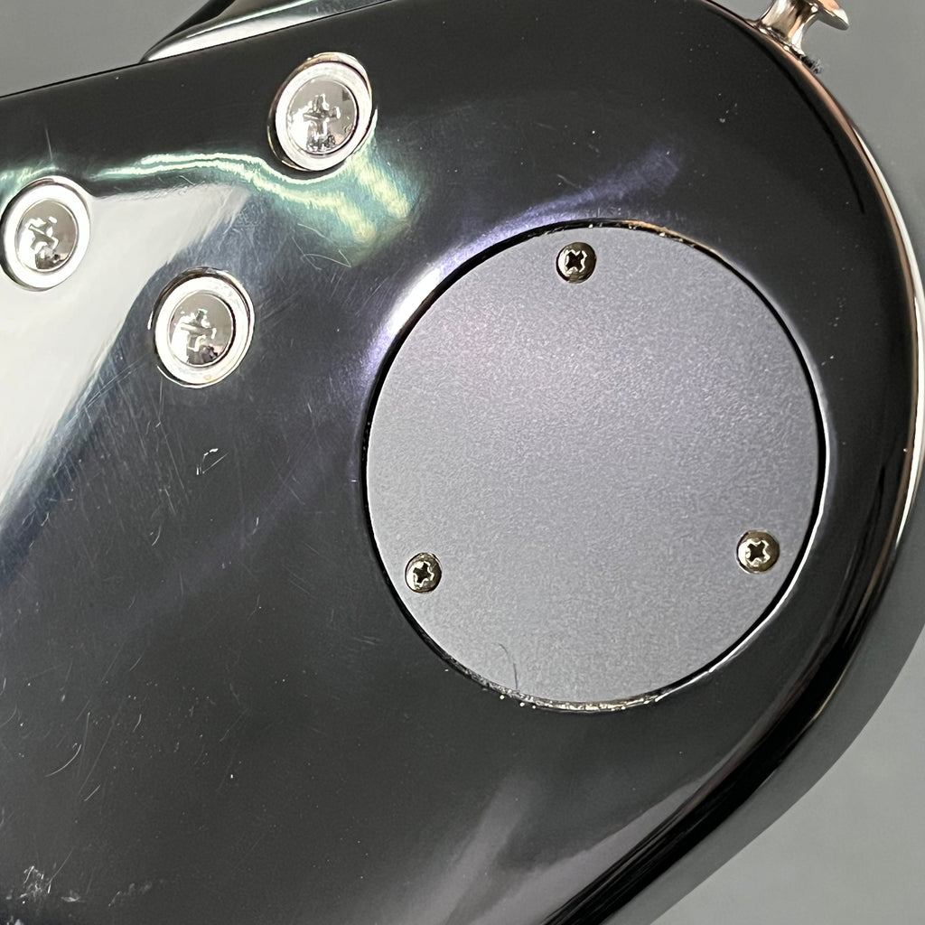 Aria Pro II PE-40