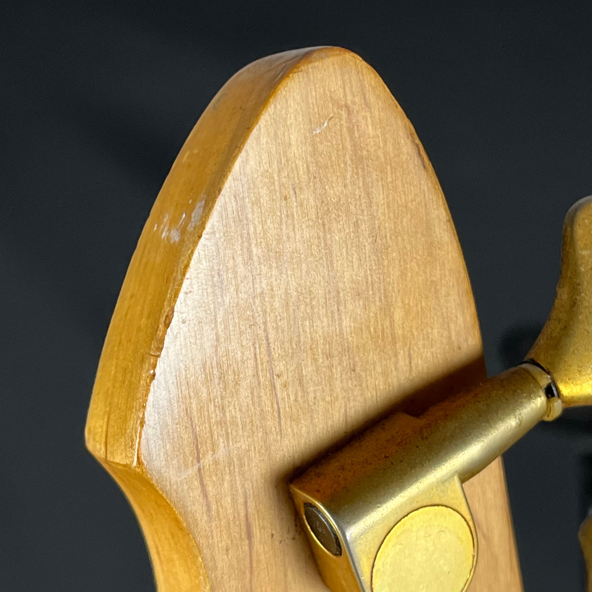 Aria Pro II Magna Series Bass