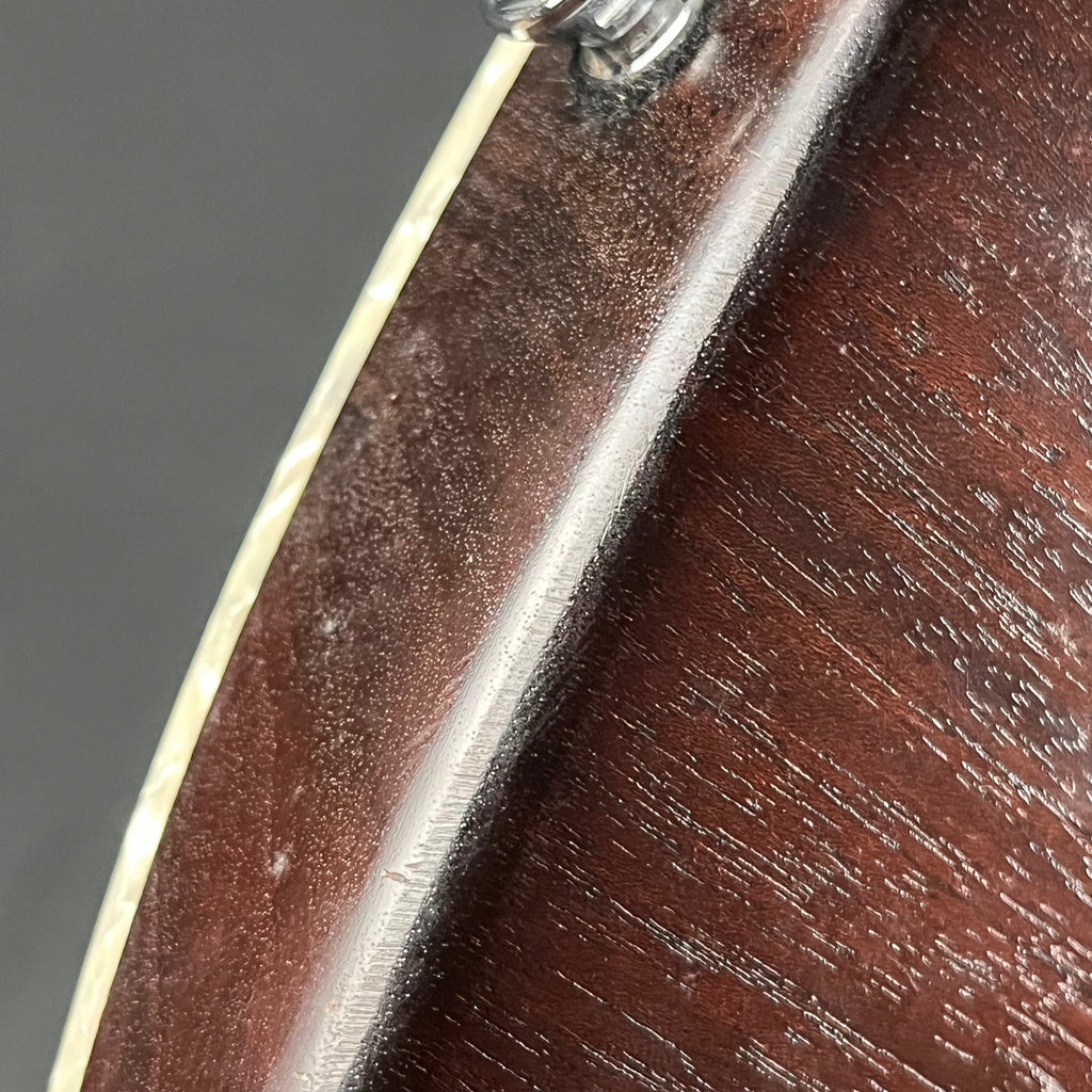 Bacchus Japan G-STUDIO FM CUSTOM