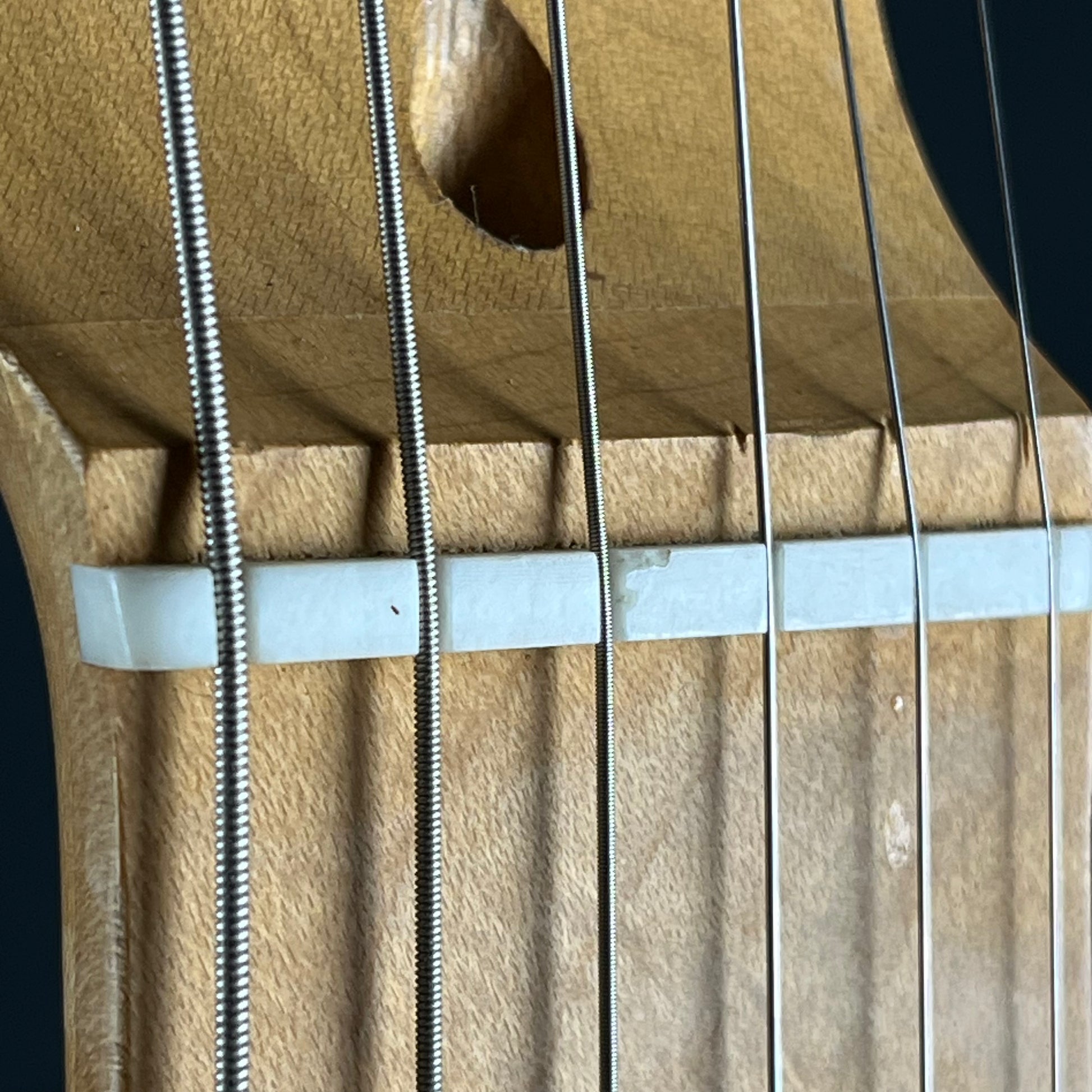 Bacchus Universe Series Telecaster