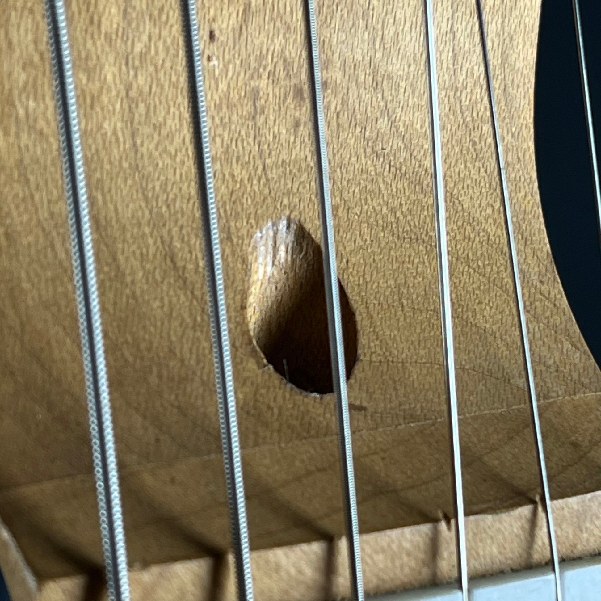 Bacchus Universe Series Telecaster