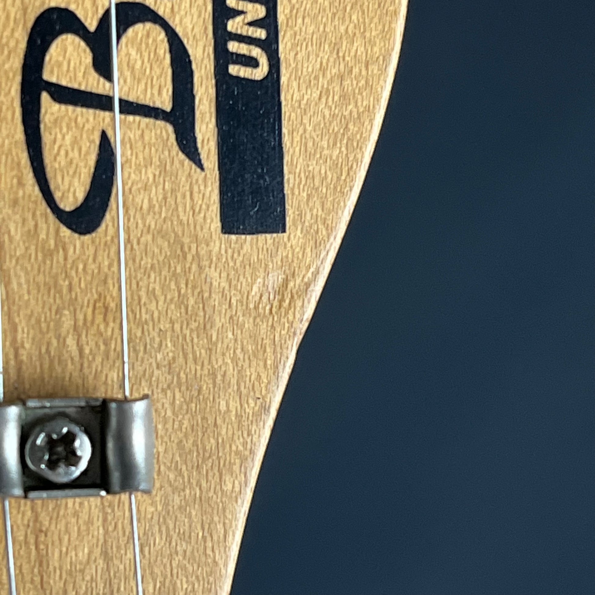 Bacchus Universe Series Telecaster