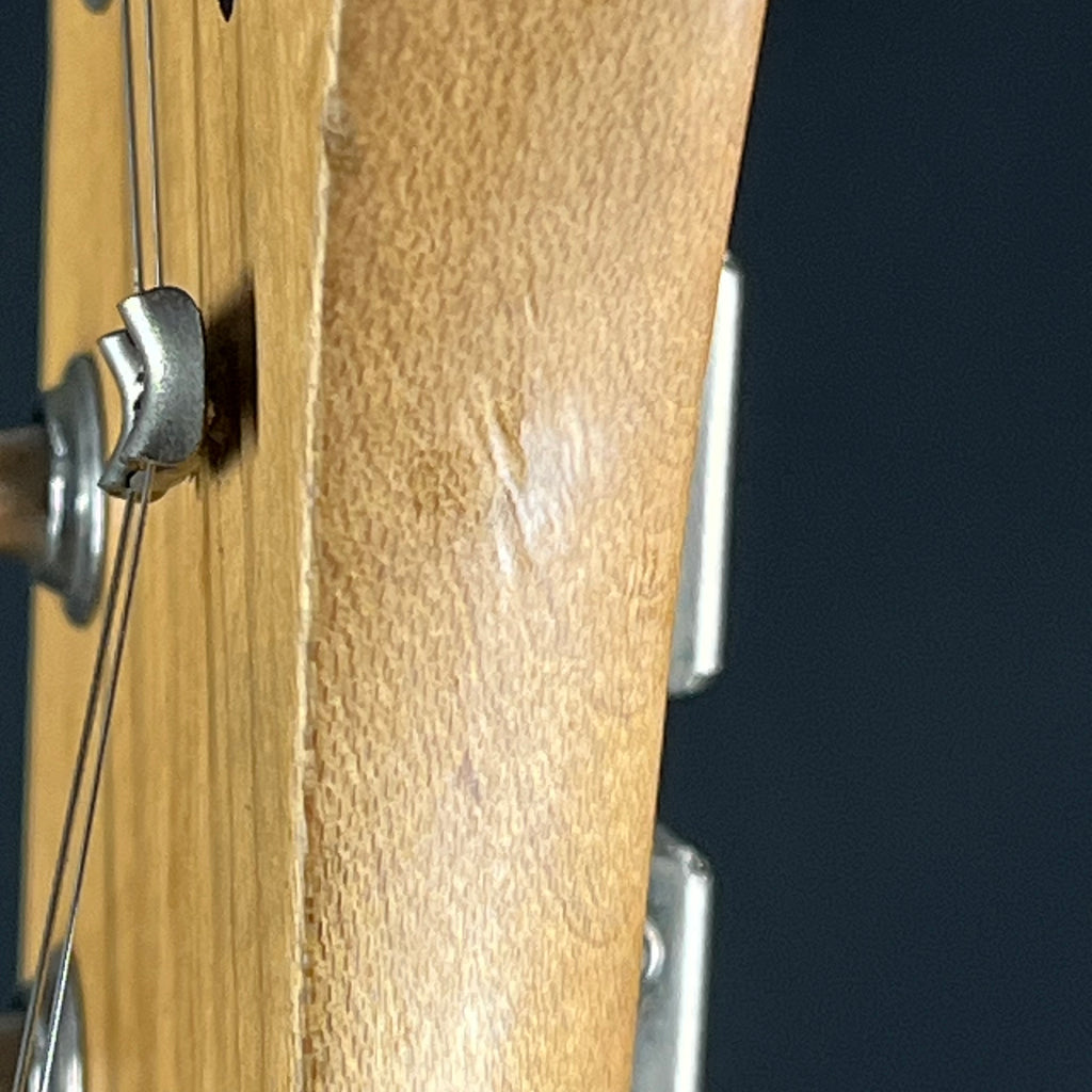 Bacchus Universe Series Telecaster