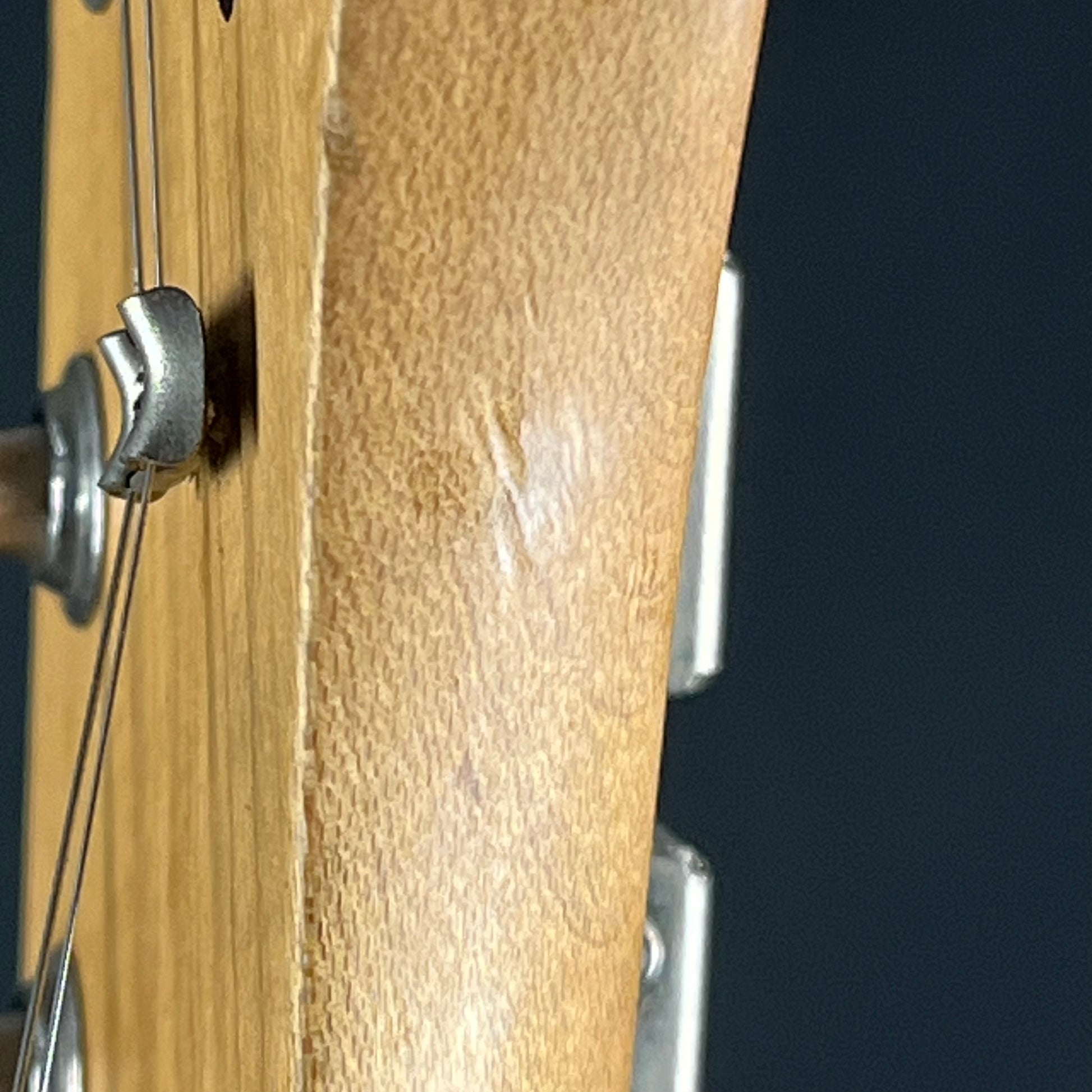 Bacchus Universe Series Telecaster