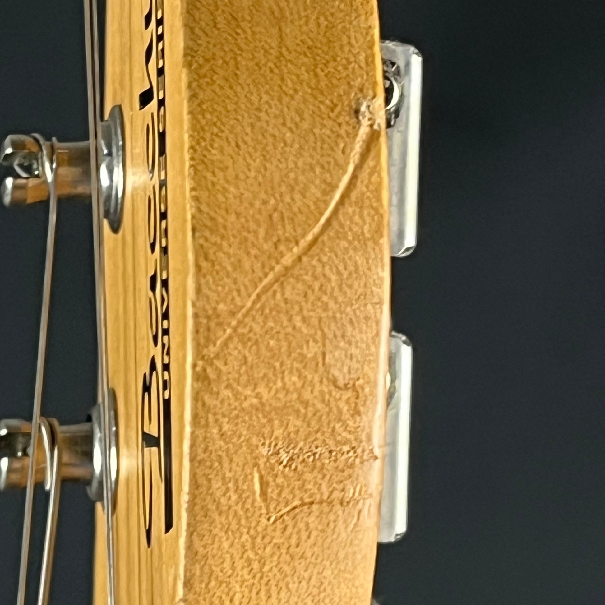 Bacchus Universe Series Telecaster