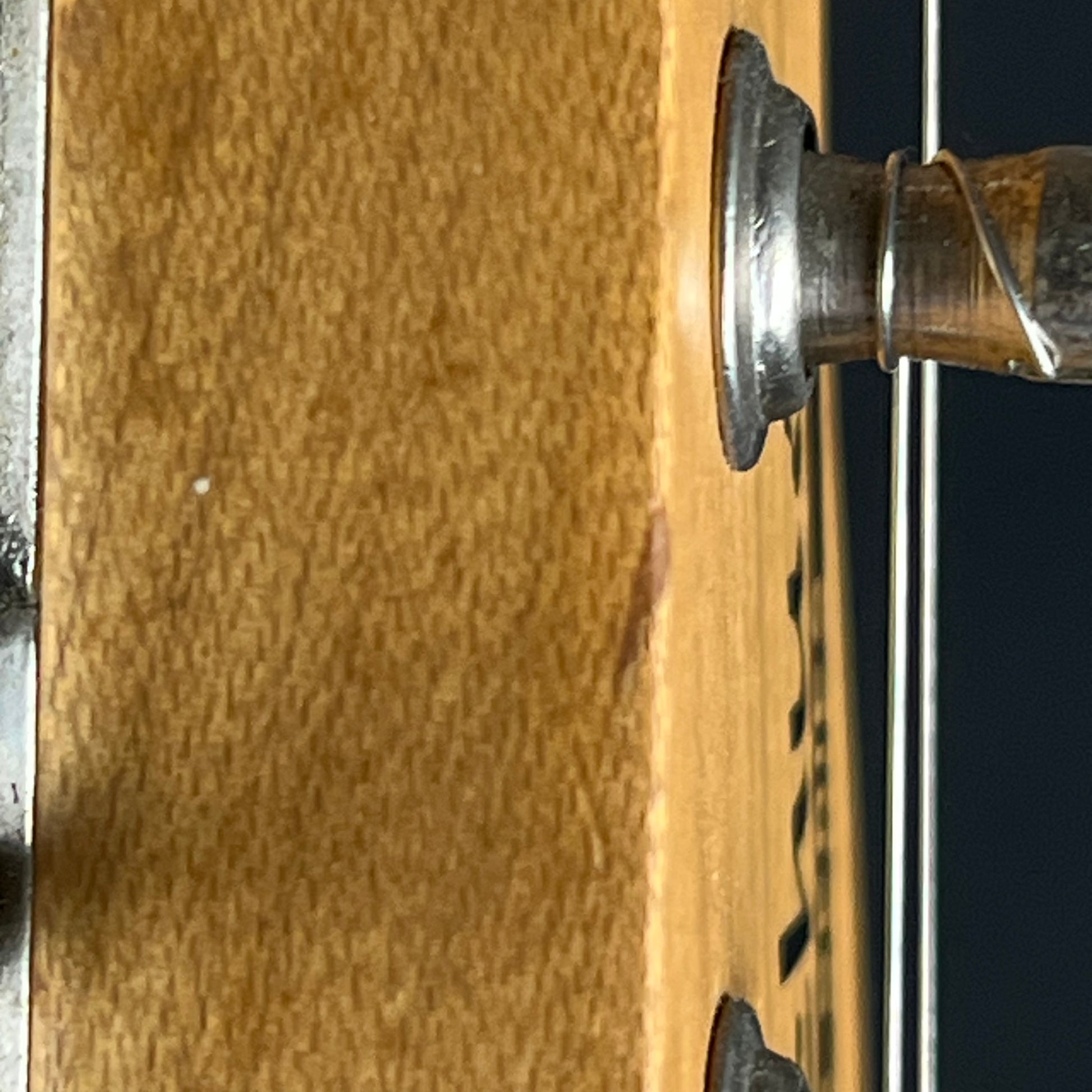 Bacchus Universe Series Telecaster