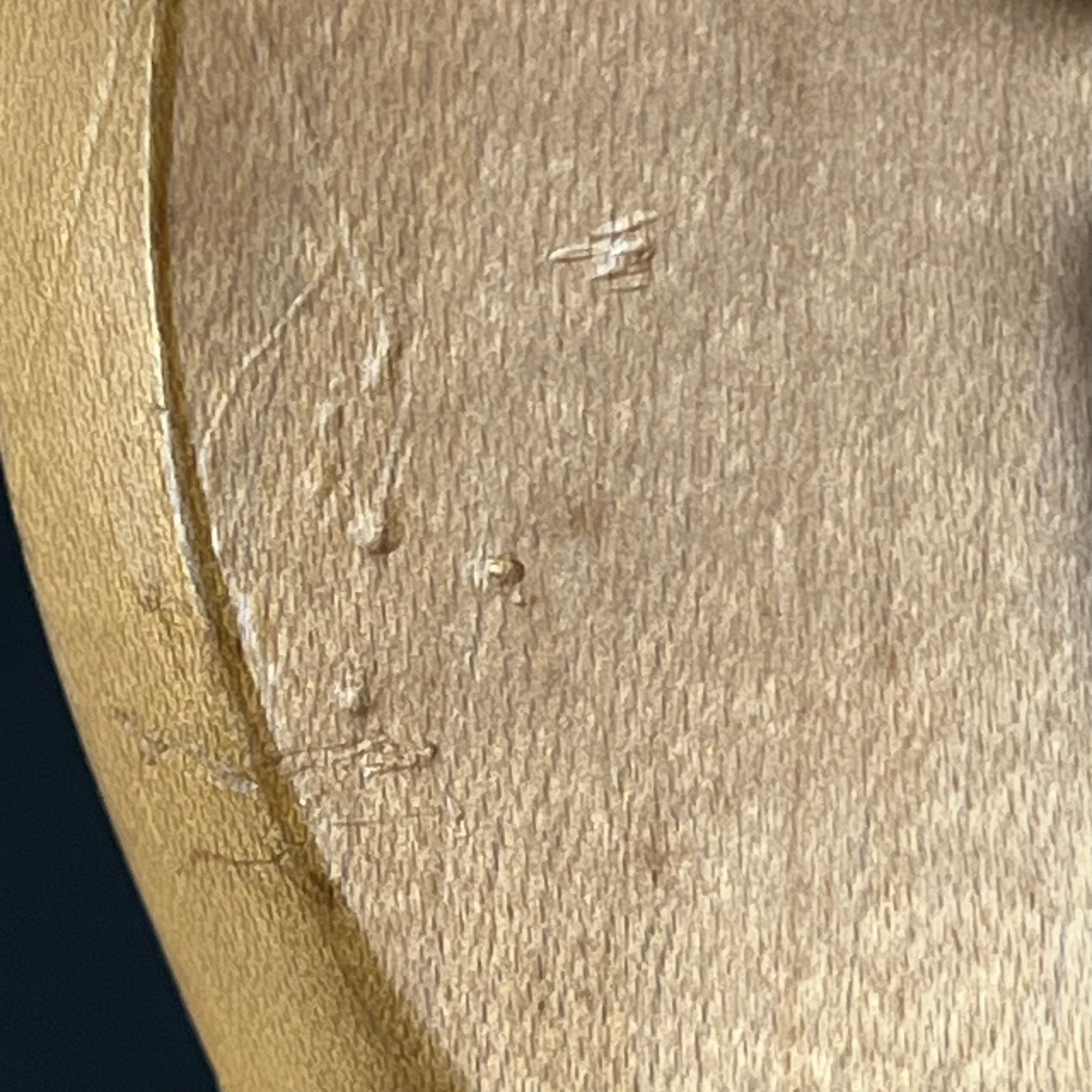 Bacchus Universe Series Telecaster