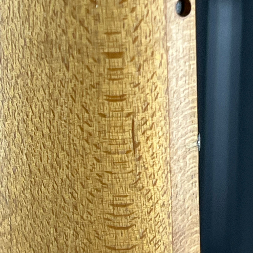 Bacchus Universe Series Telecaster