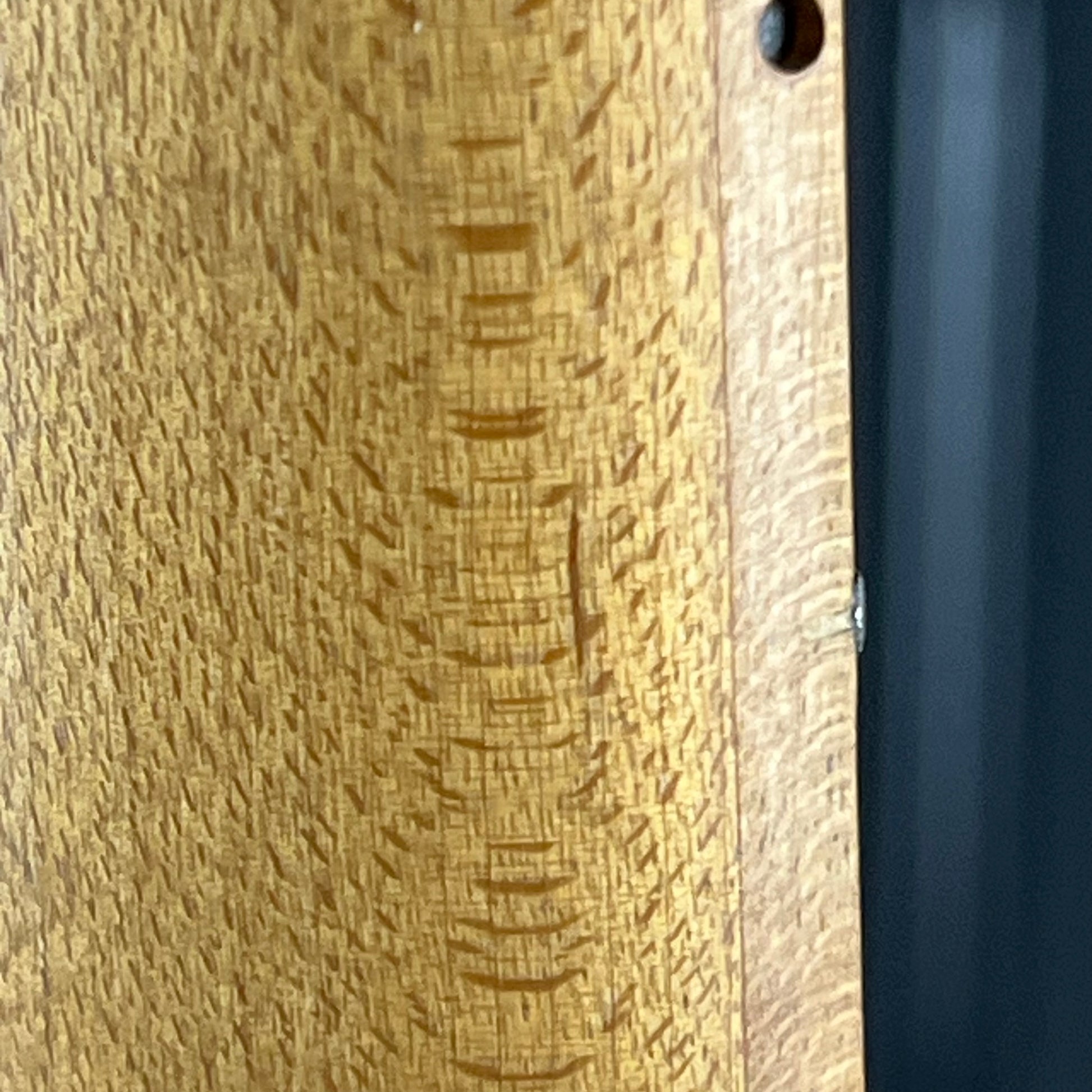 Bacchus Universe Series Telecaster