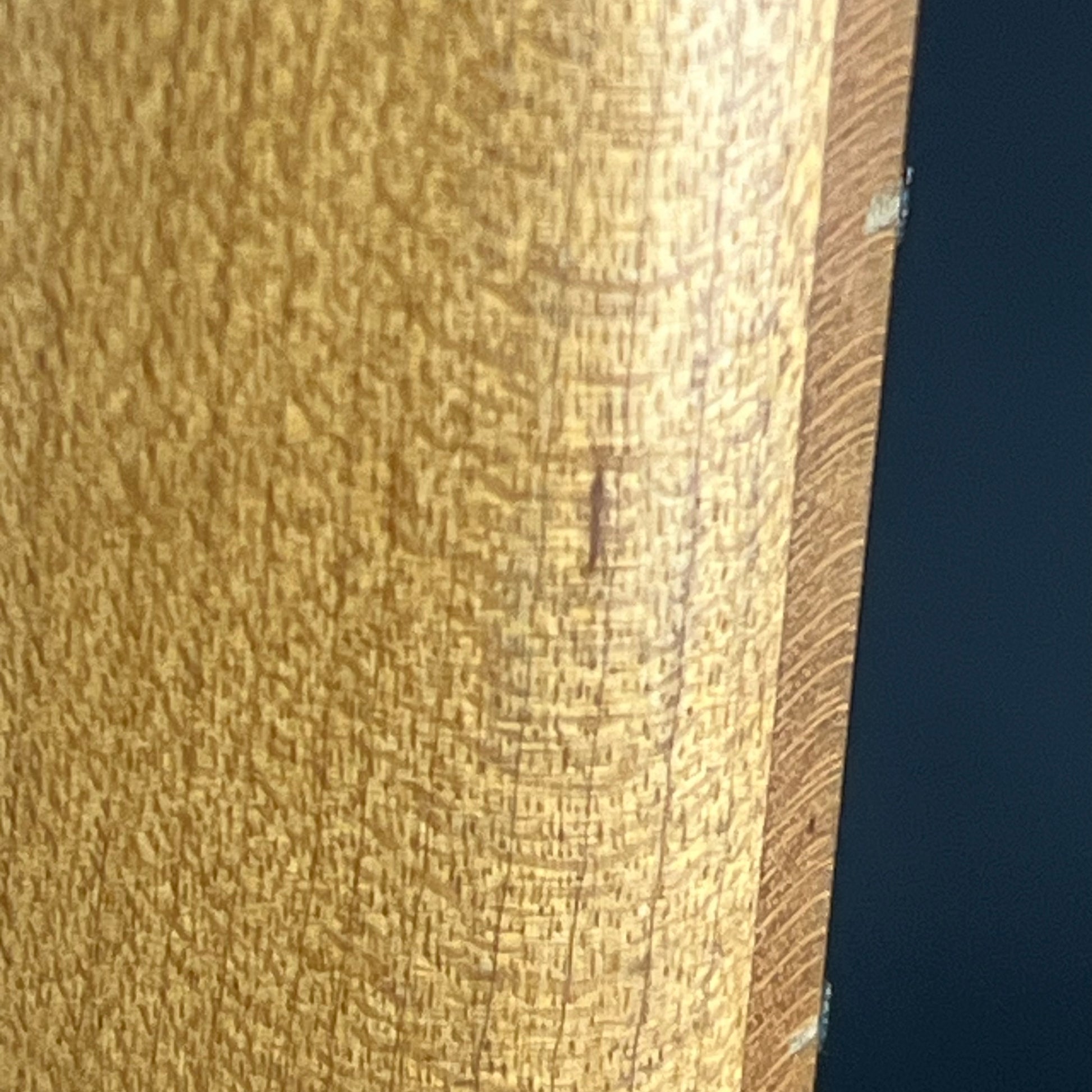 Bacchus Universe Series Telecaster