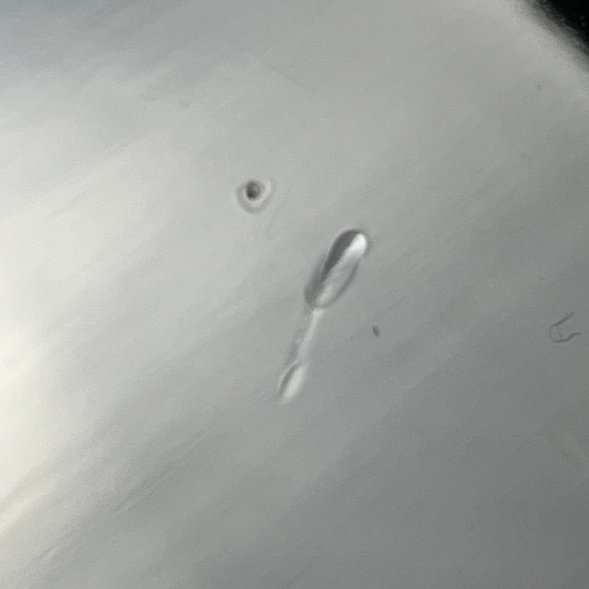 Bacchus Universe Series Telecaster