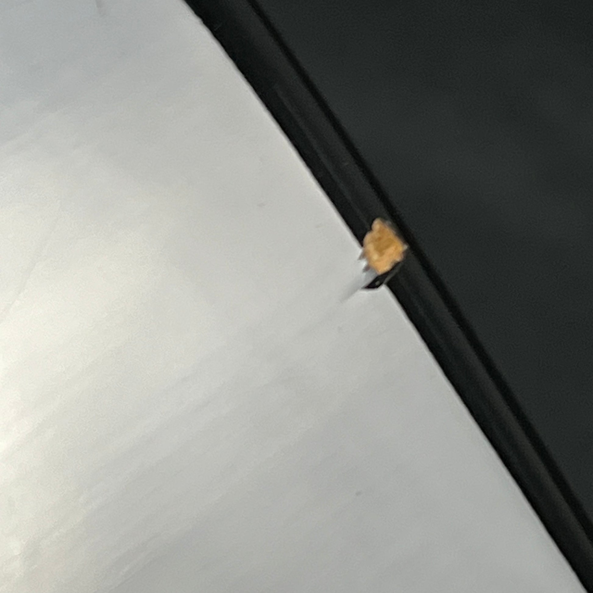 Bacchus Universe Series Telecaster