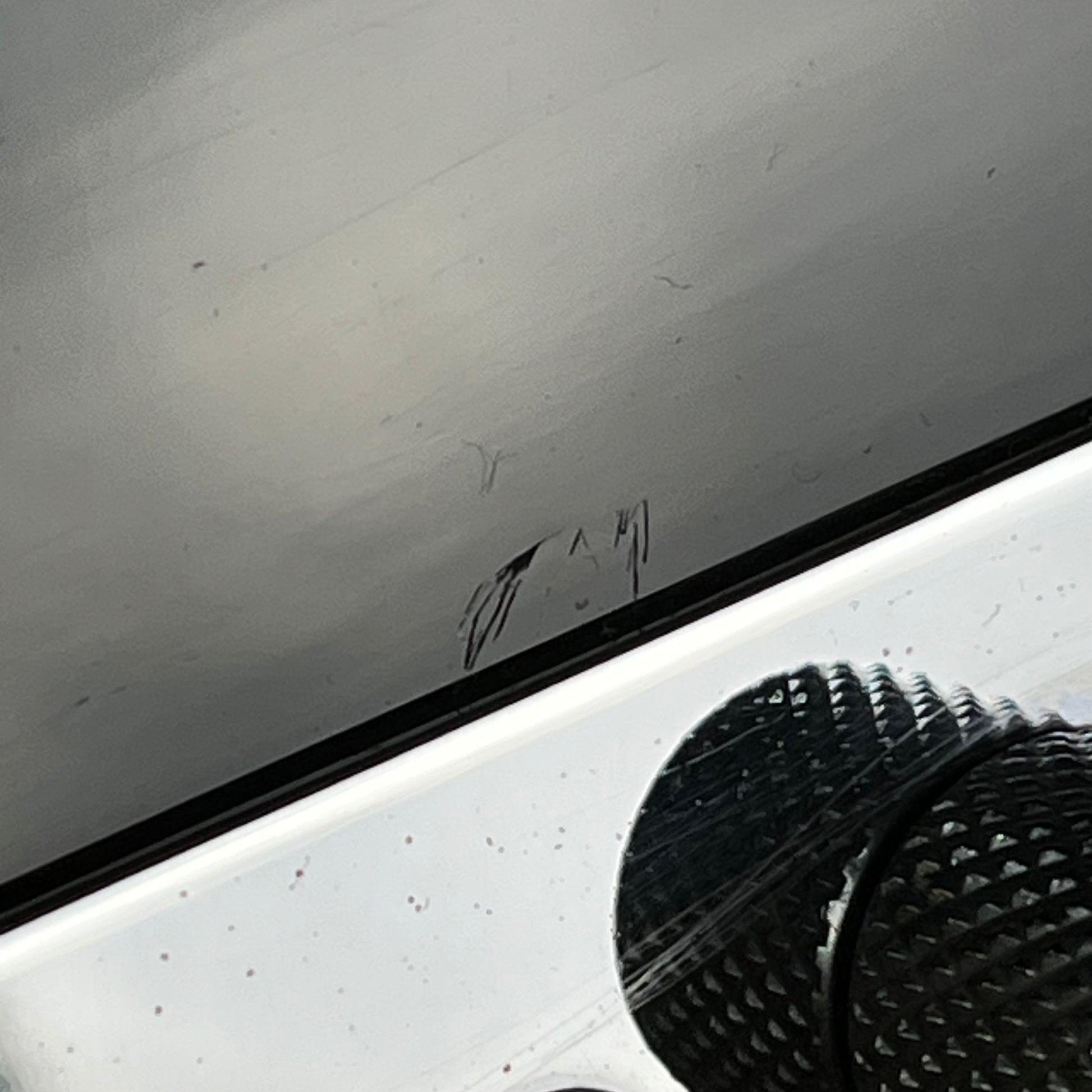 Bacchus Universe Series Telecaster