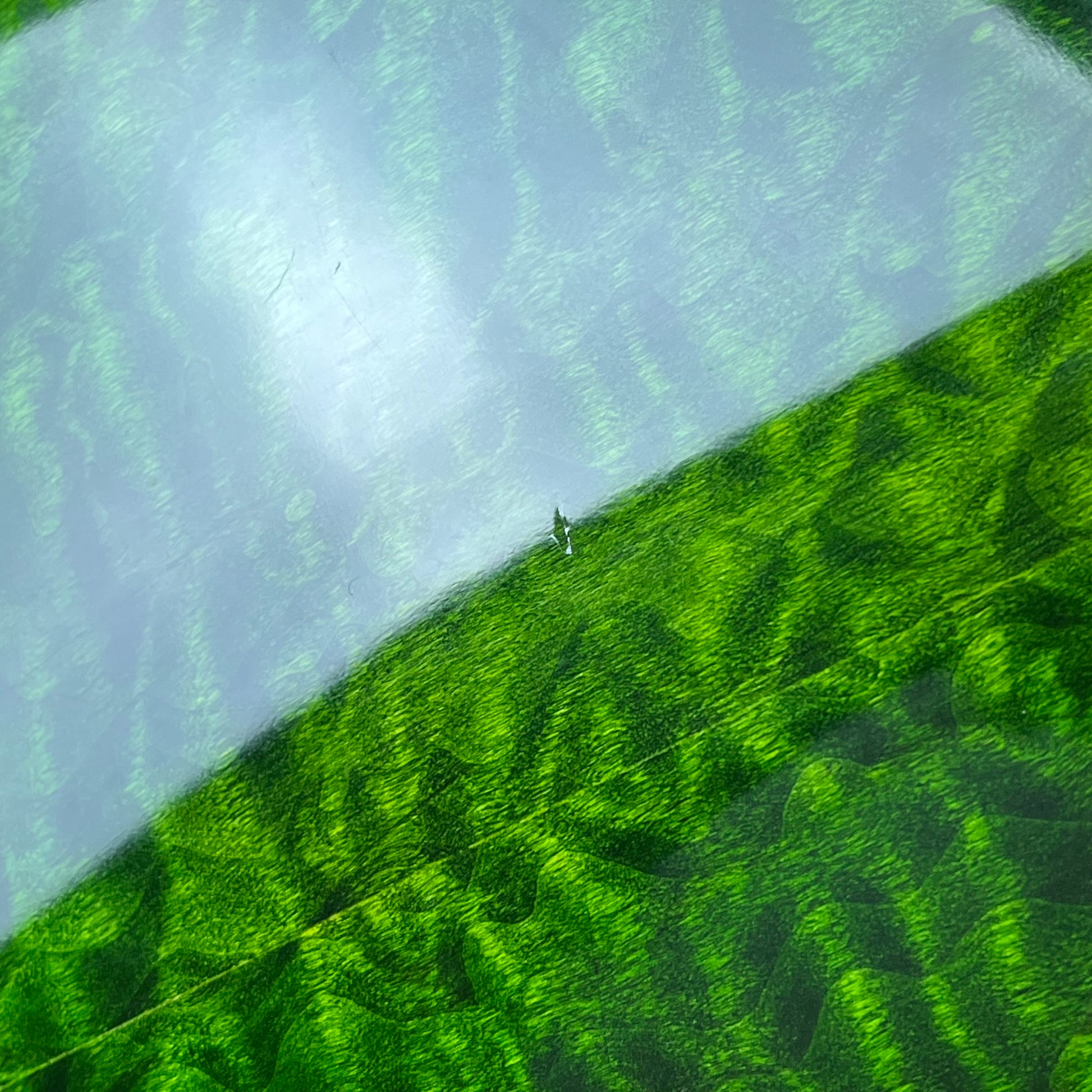 IMP IMPERIAL Semi Hollow