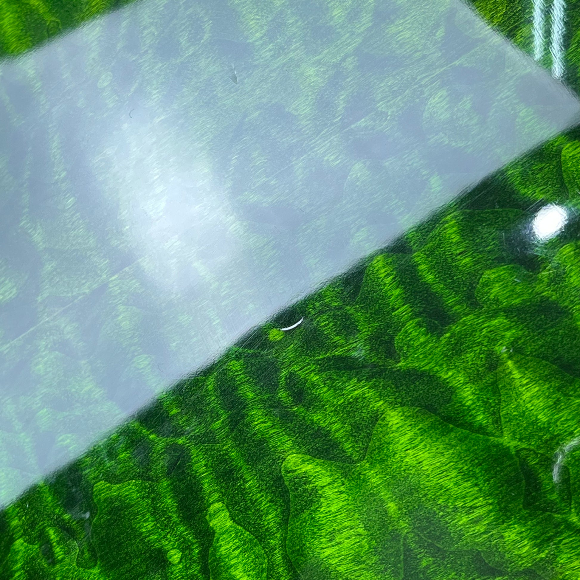 IMP IMPERIAL Semi Hollow