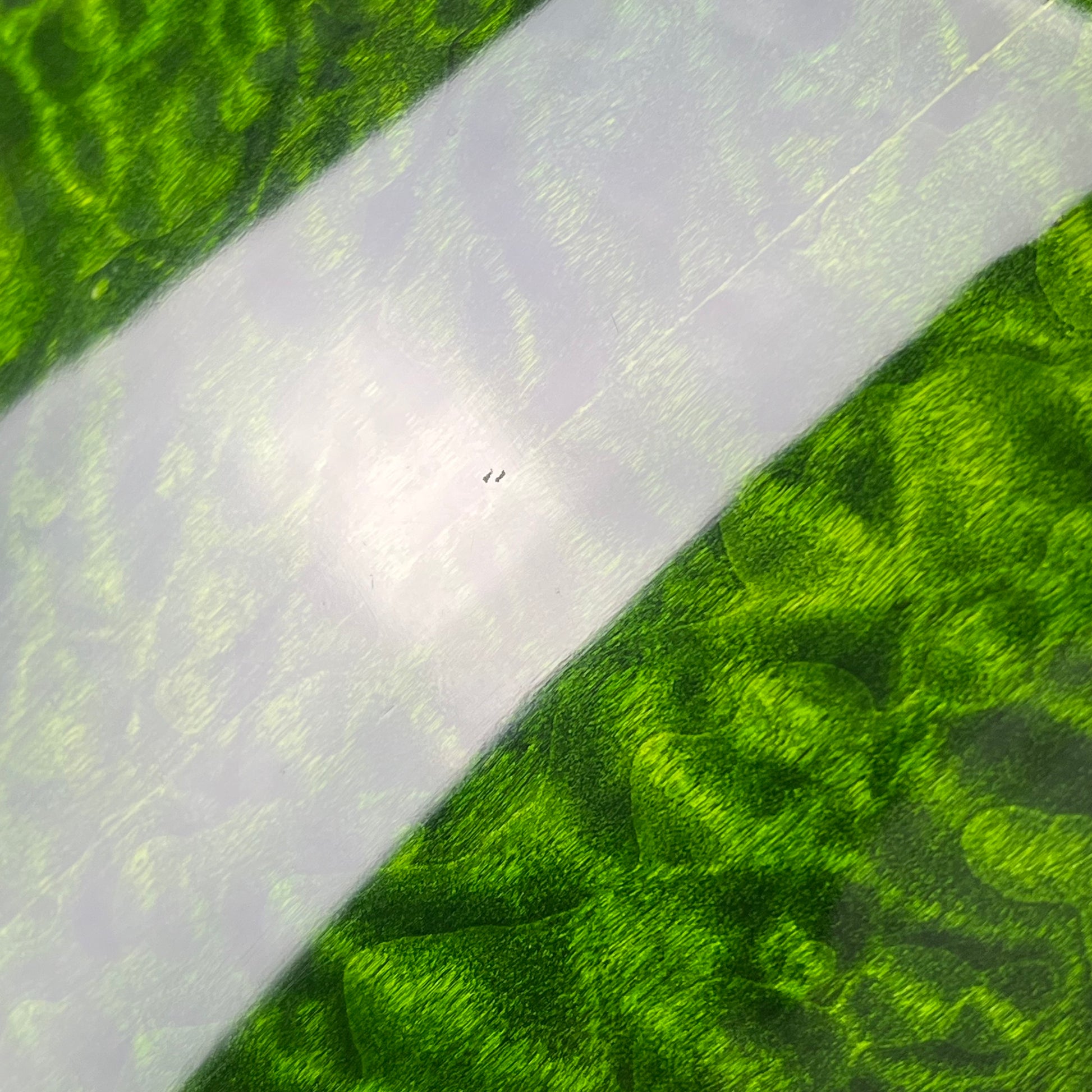 IMP IMPERIAL Semi Hollow