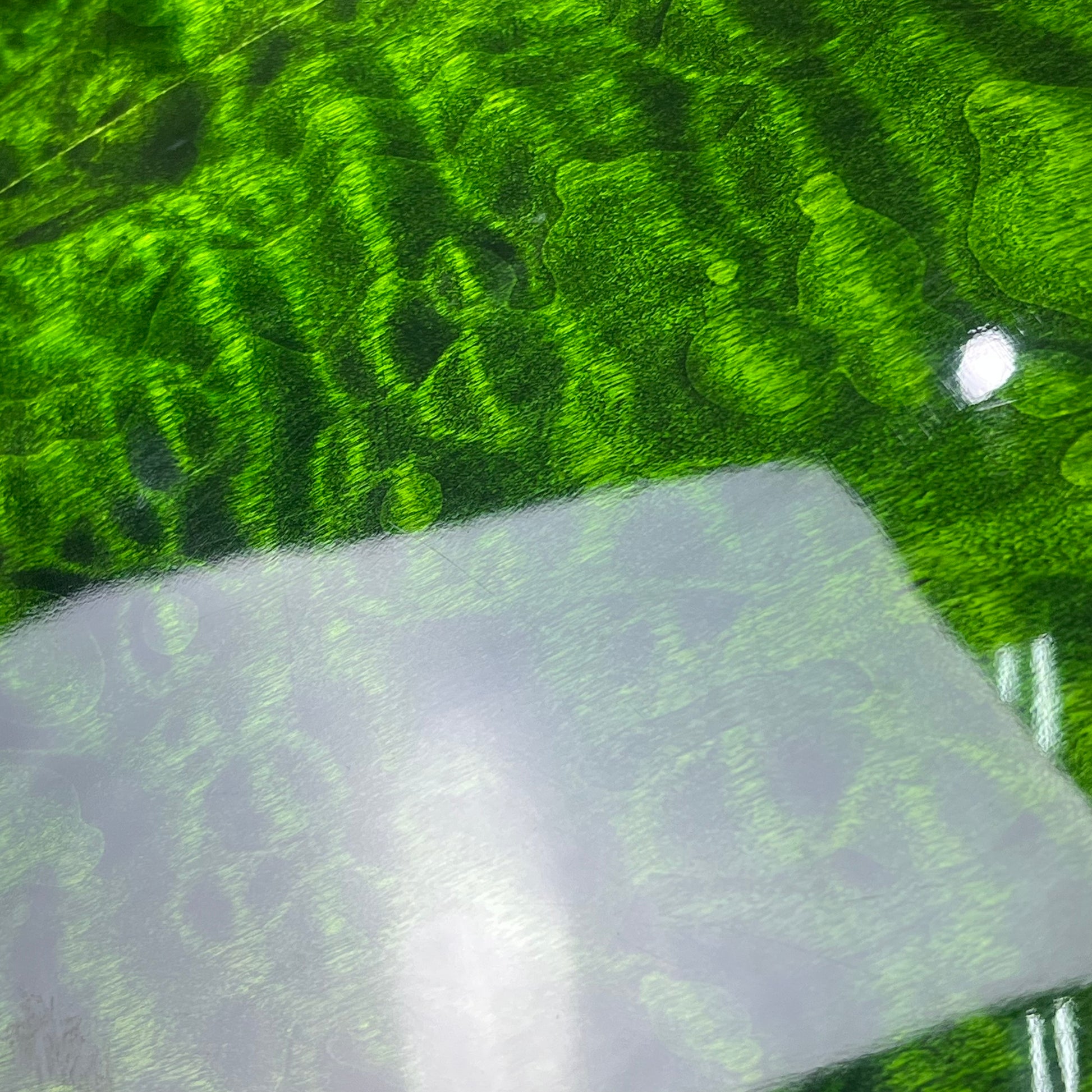 IMP IMPERIAL Semi Hollow