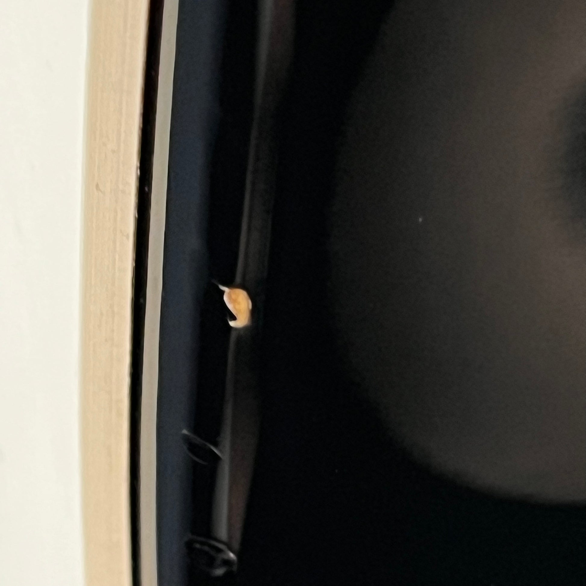 Bacchus Universe Series Telecaster