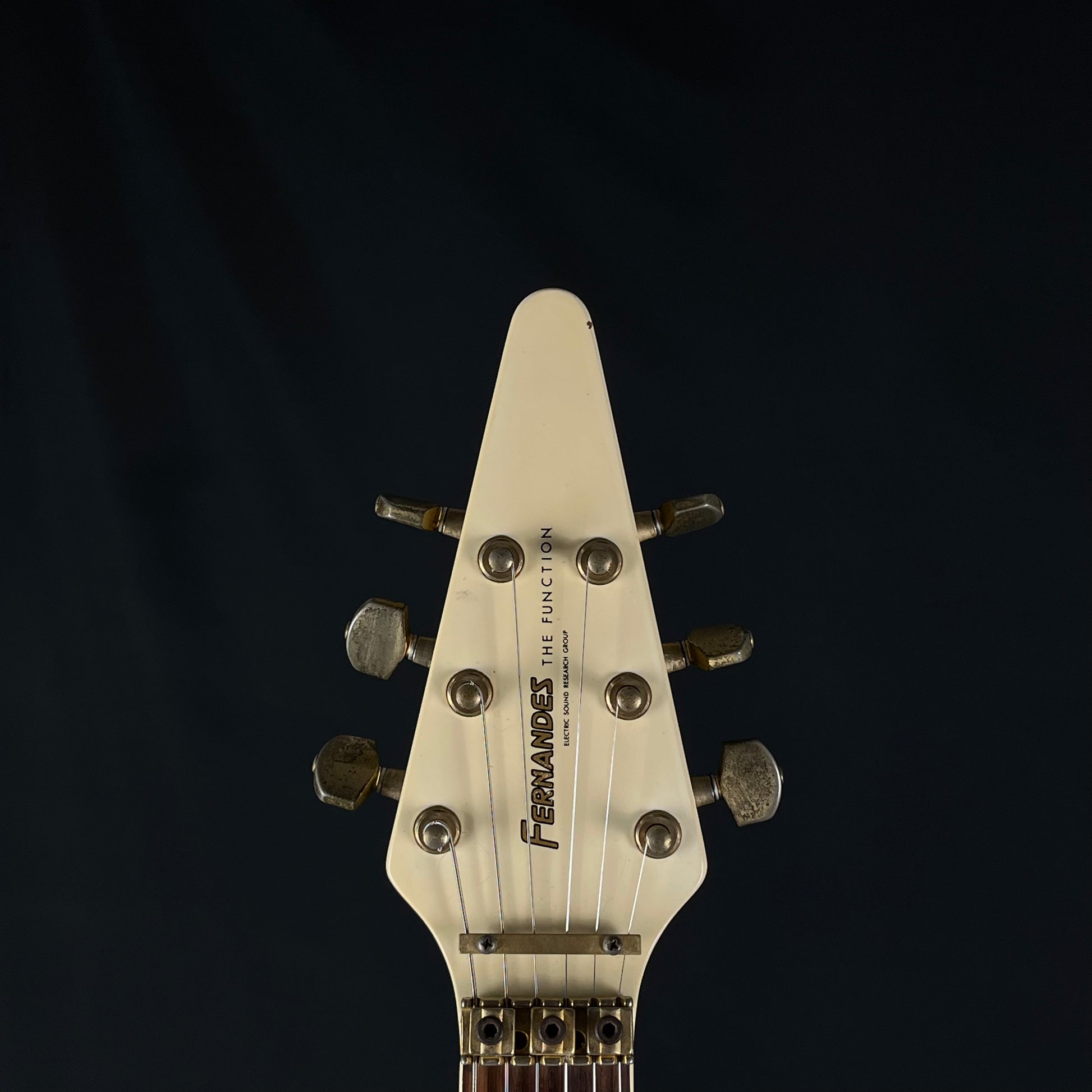 FERNANDES Flying V