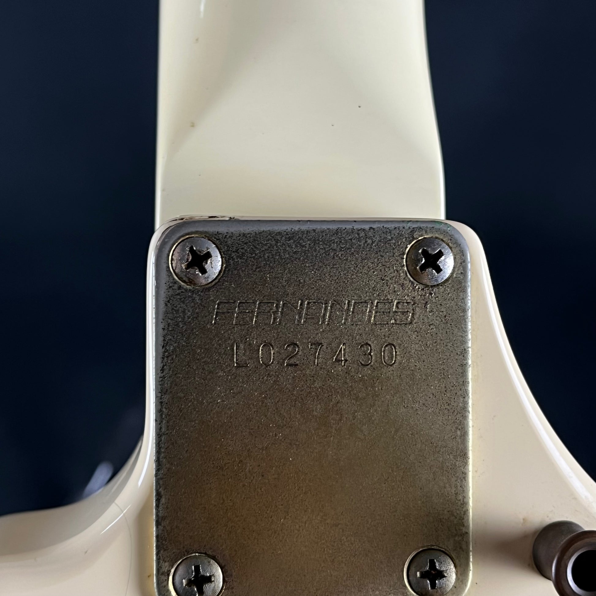 FERNANDES Flying V