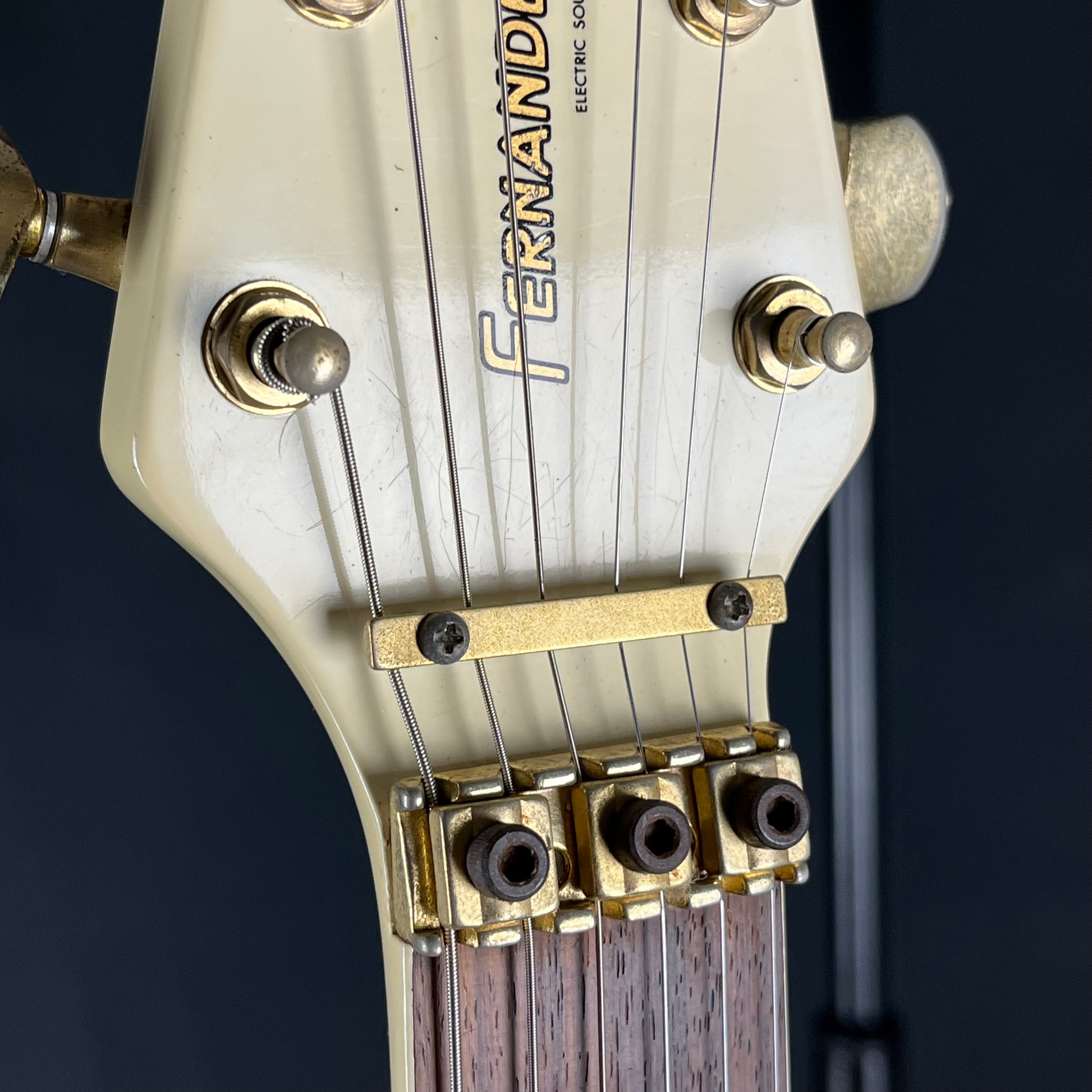 FERNANDES Flying V