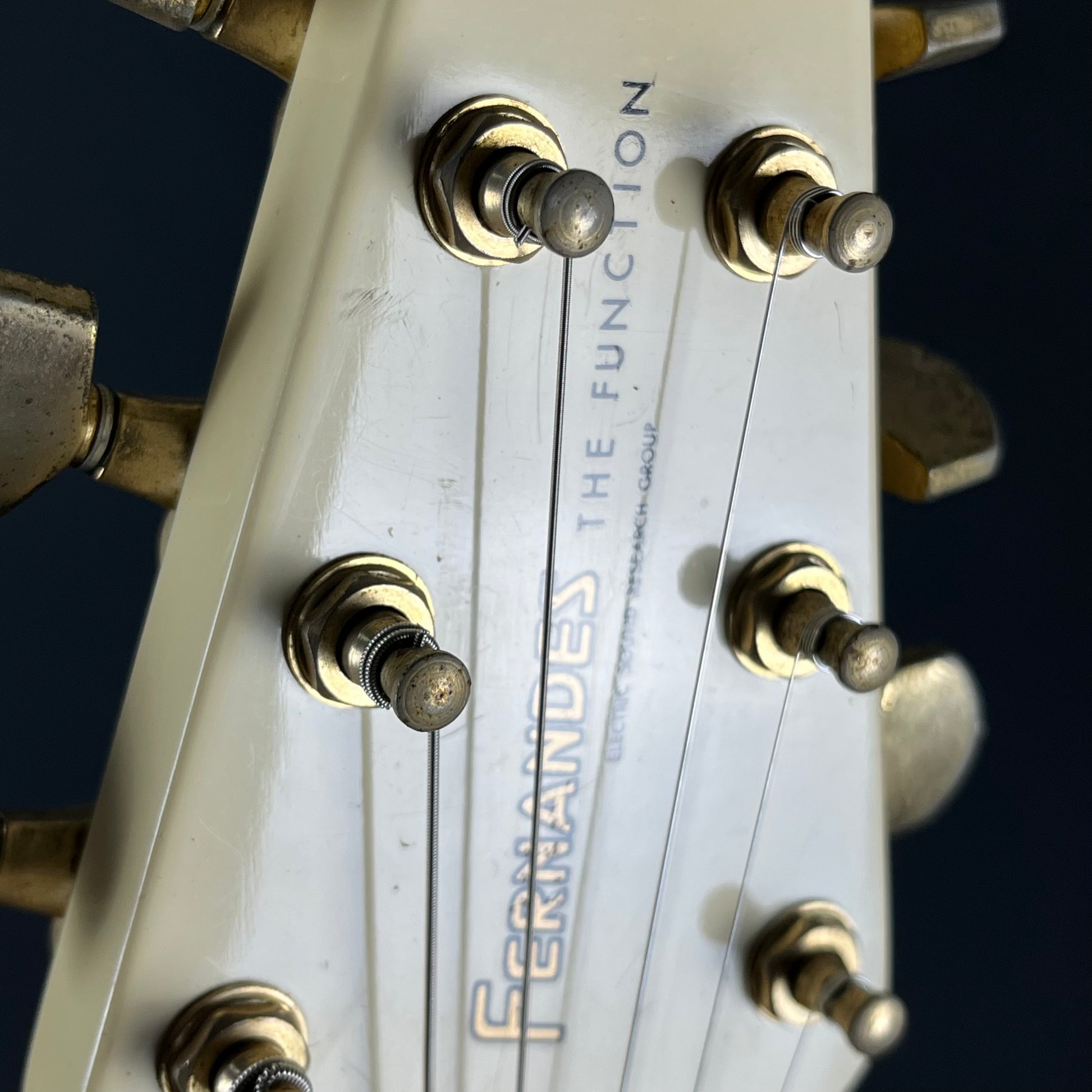 FERNANDES Flying V
