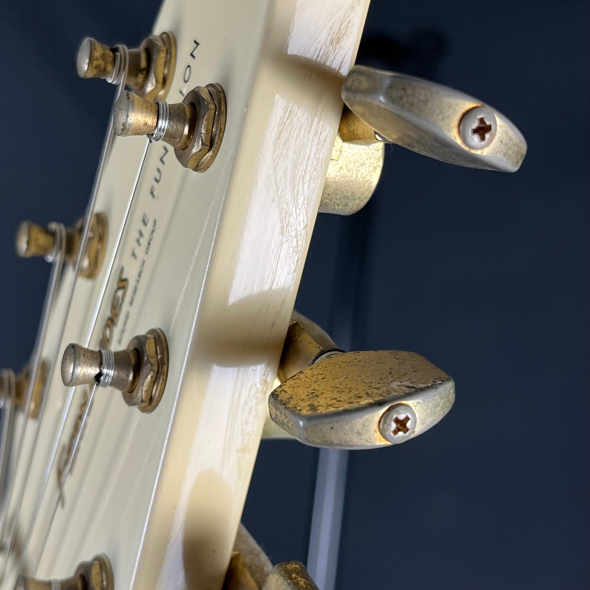 FERNANDES Flying V