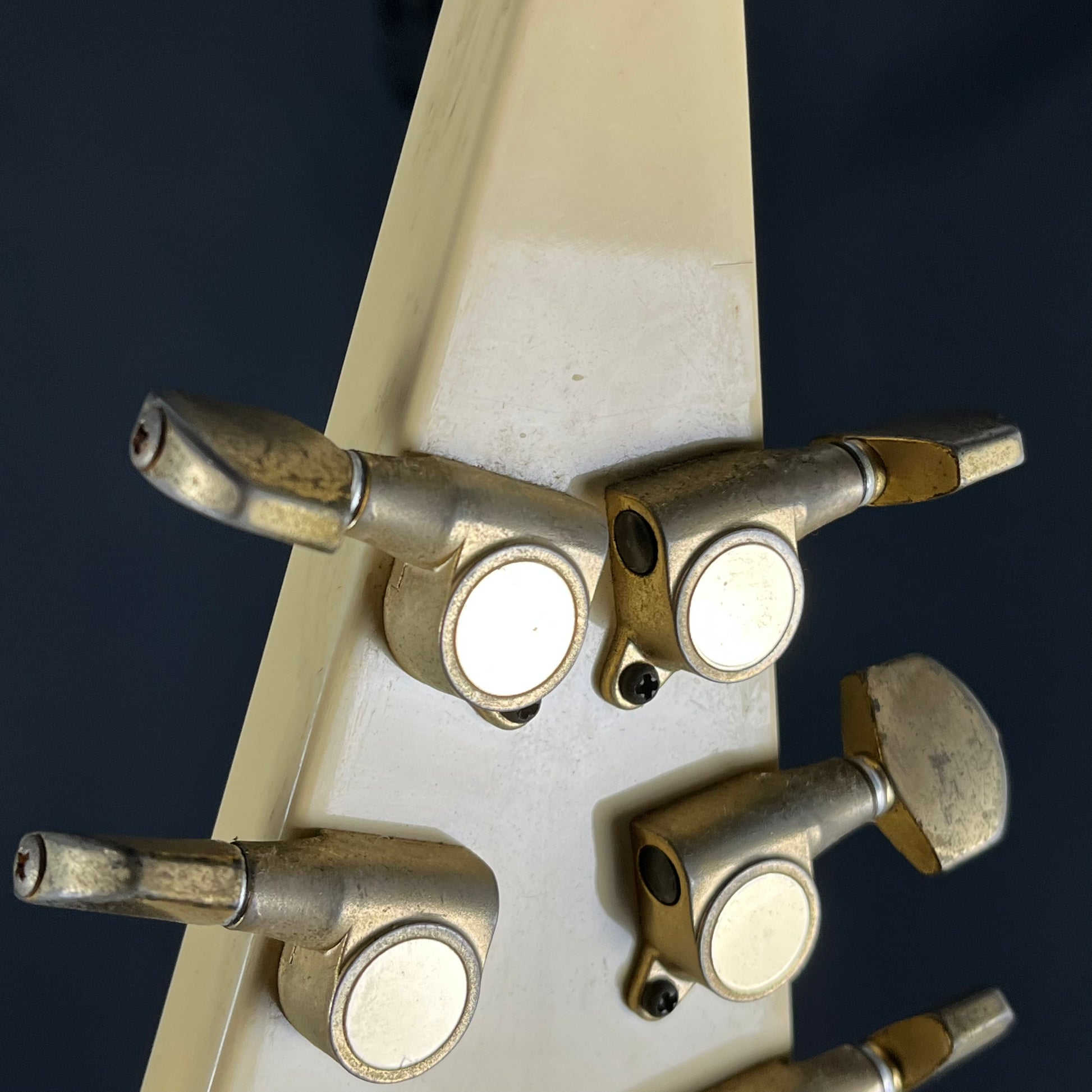 FERNANDES Flying V