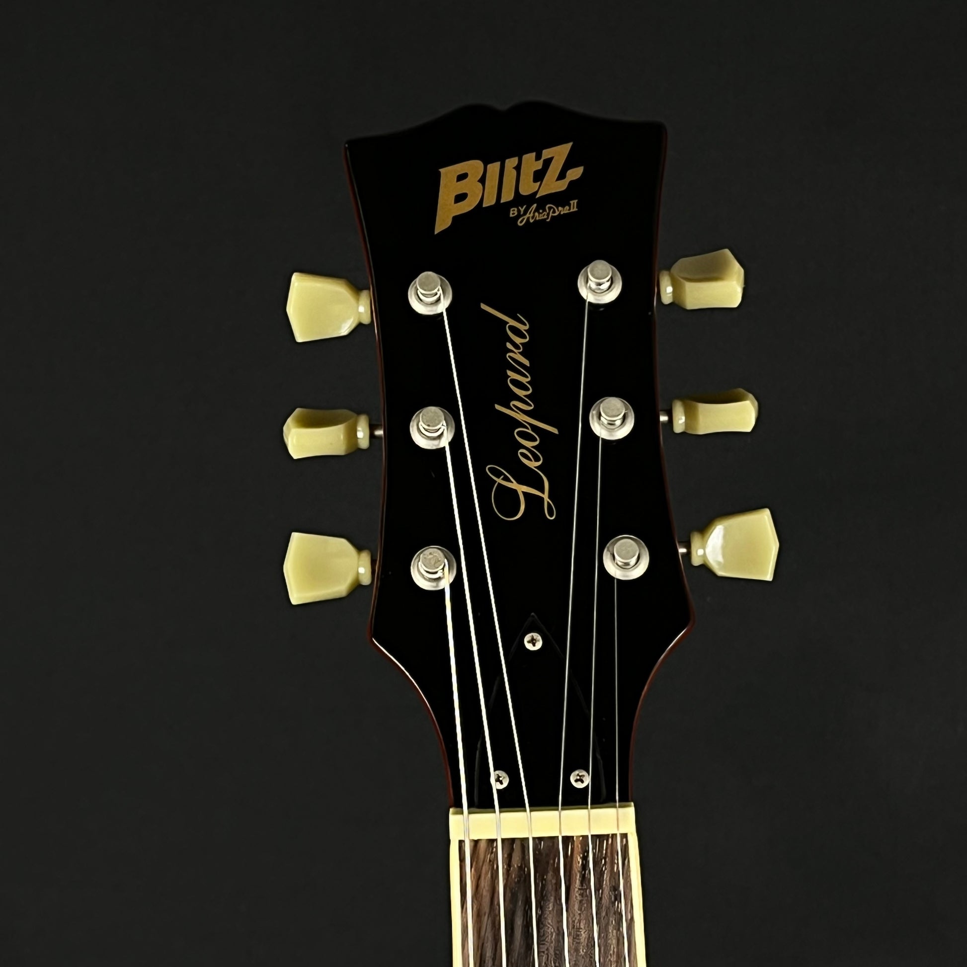 Blitz by Aria Pro II BLP-450