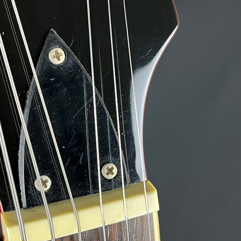 Blitz by Aria Pro II BLP-450