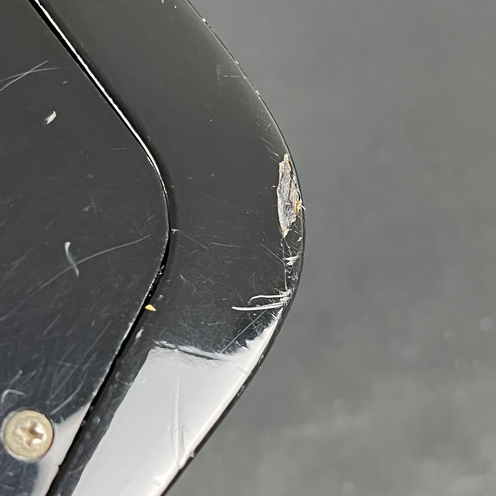 Greco Japan Thunderbird TB-700