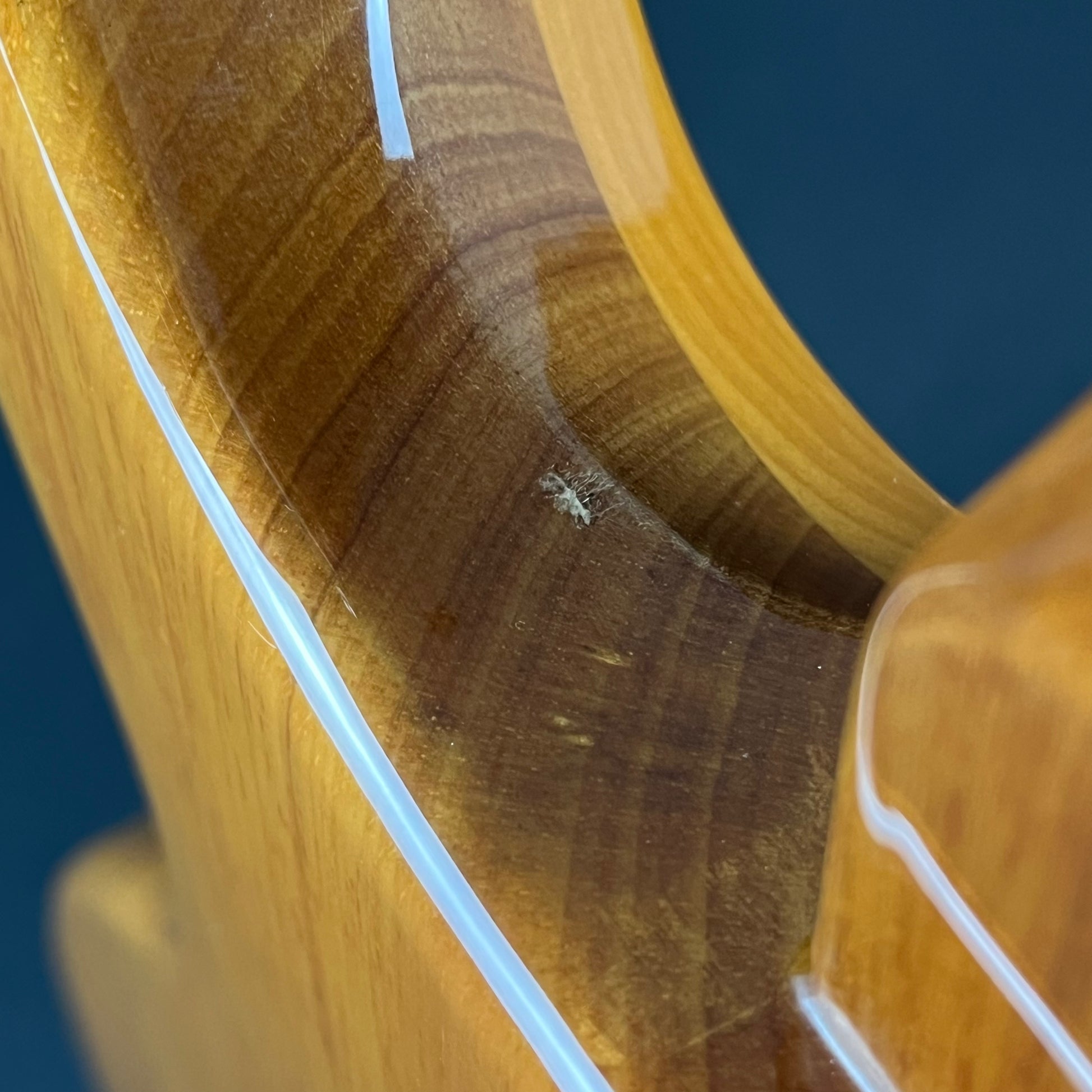 PRS SE Santana 2010 * PU Mod *