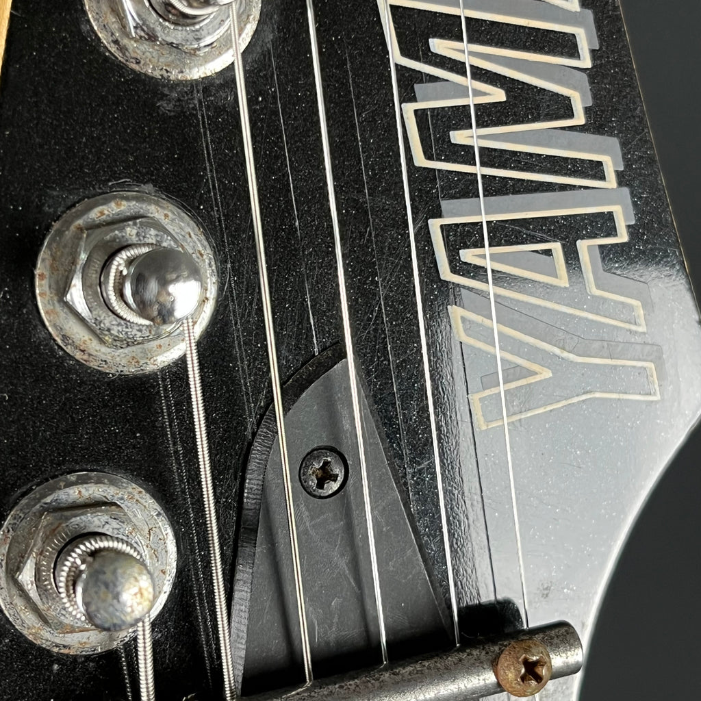 YAMAHA RGX421D