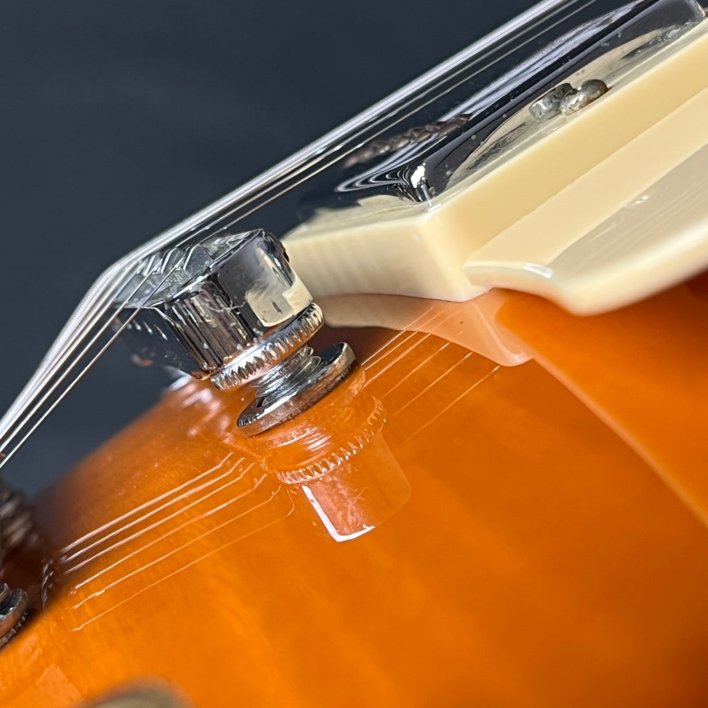 Blitz by Aria Pro II BLP-450