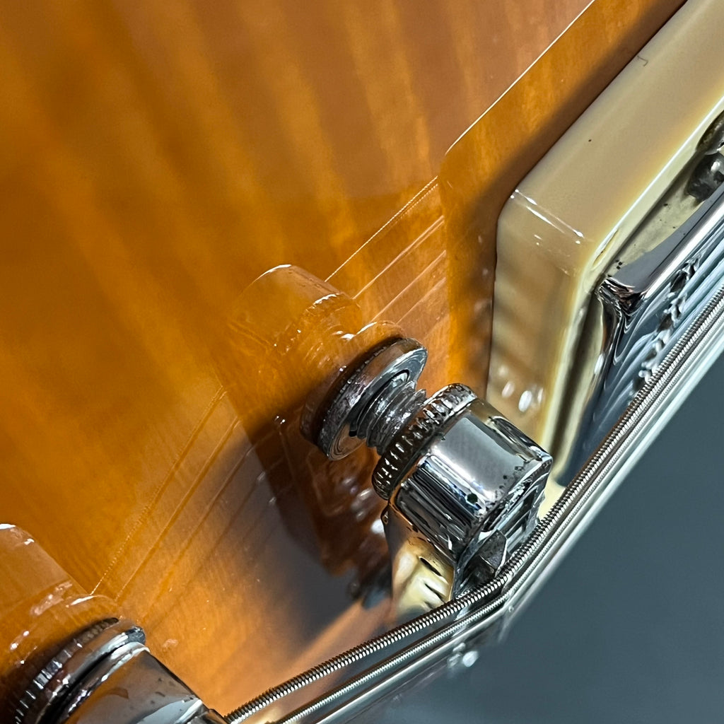 Blitz by Aria Pro II BLP-450