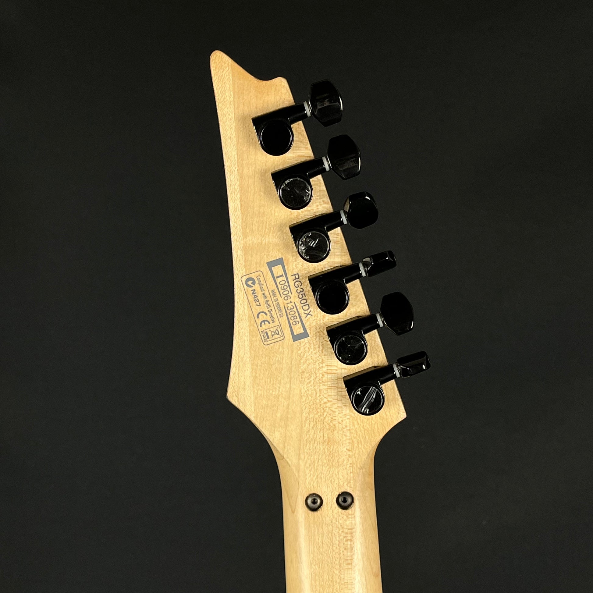 Ibanez RG350DX 2009