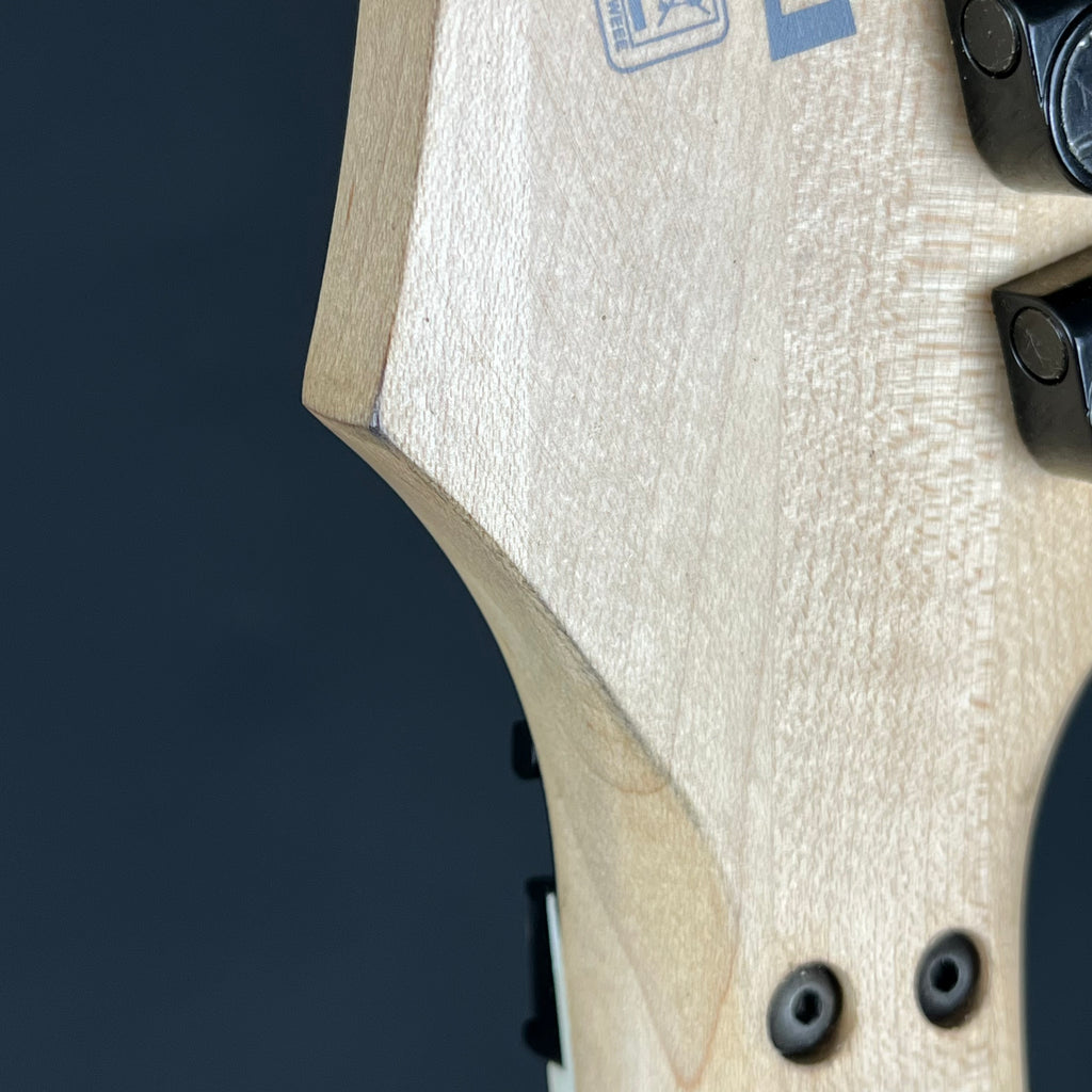Ibanez RG350DX 2009