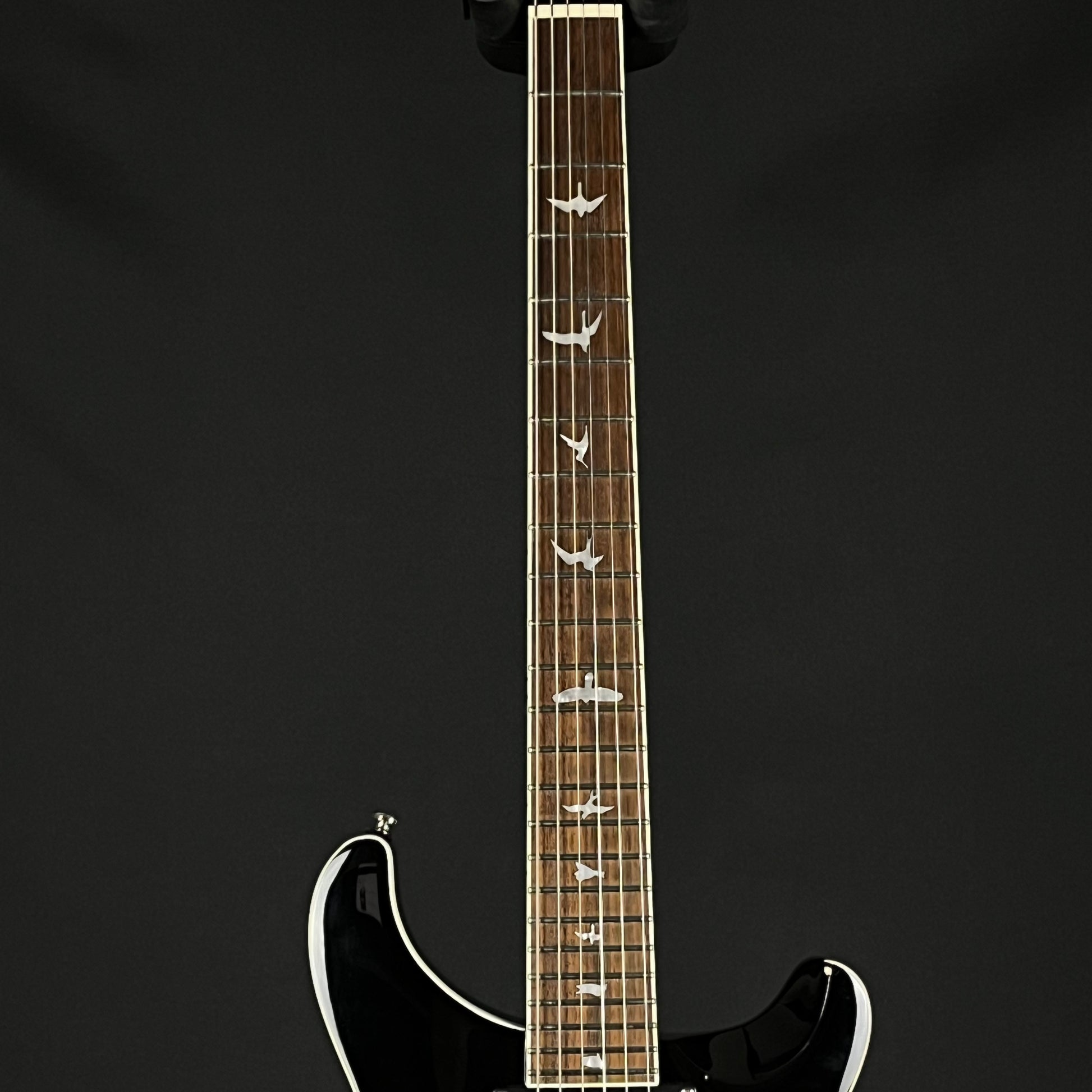 PRS SE Standard 24 2019