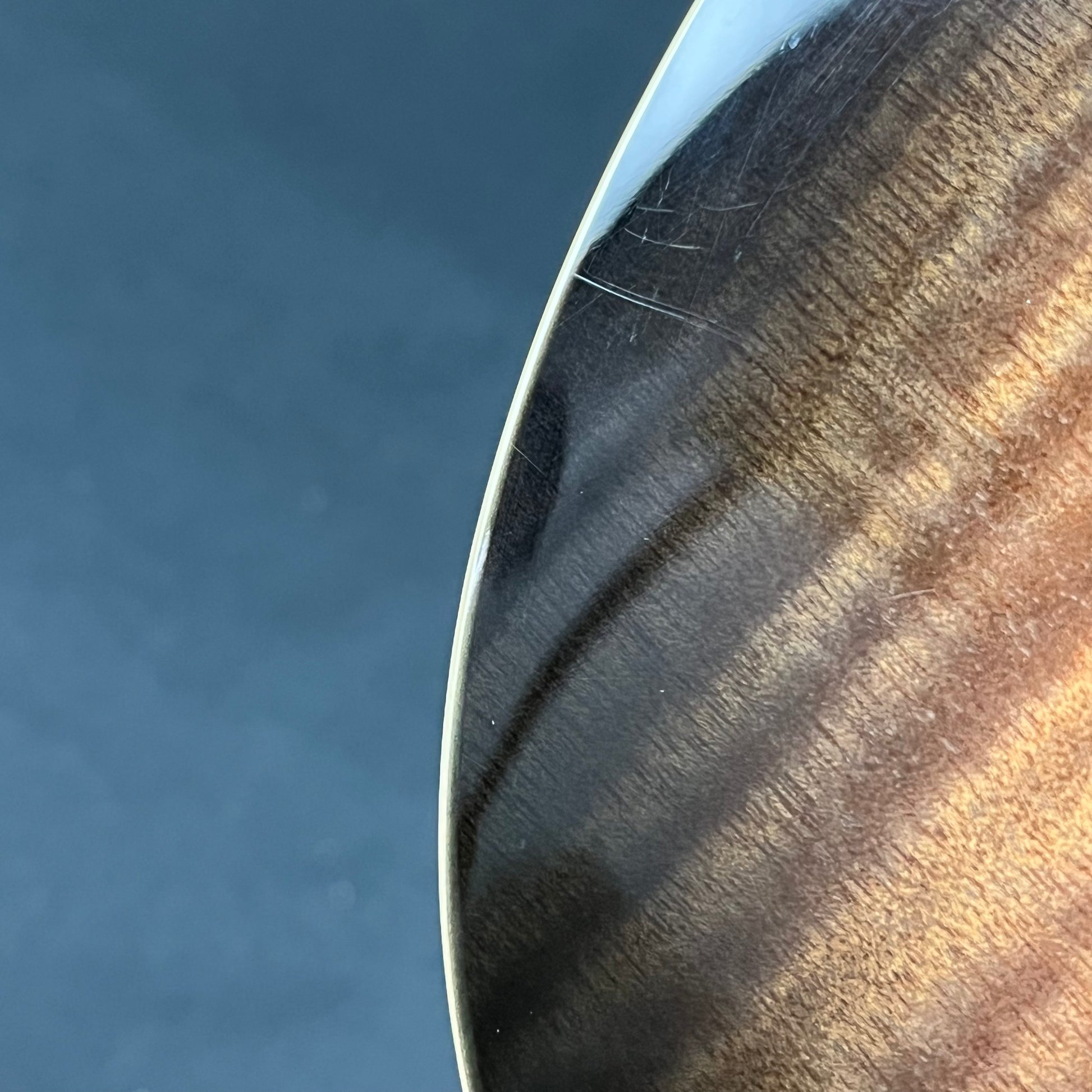 Bacchus TAC24 FMH-RSM/M