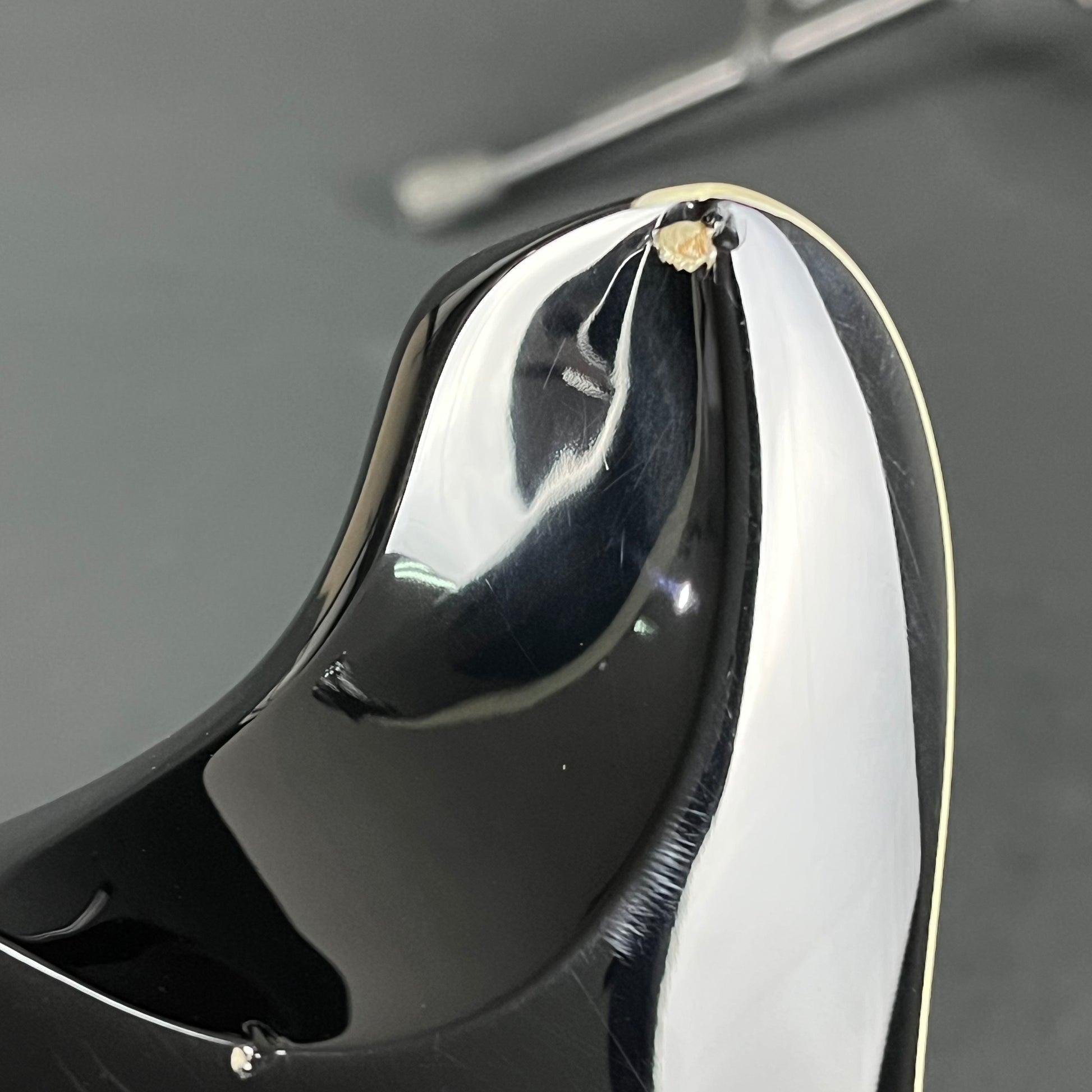 PRS SE Standard 24 2019