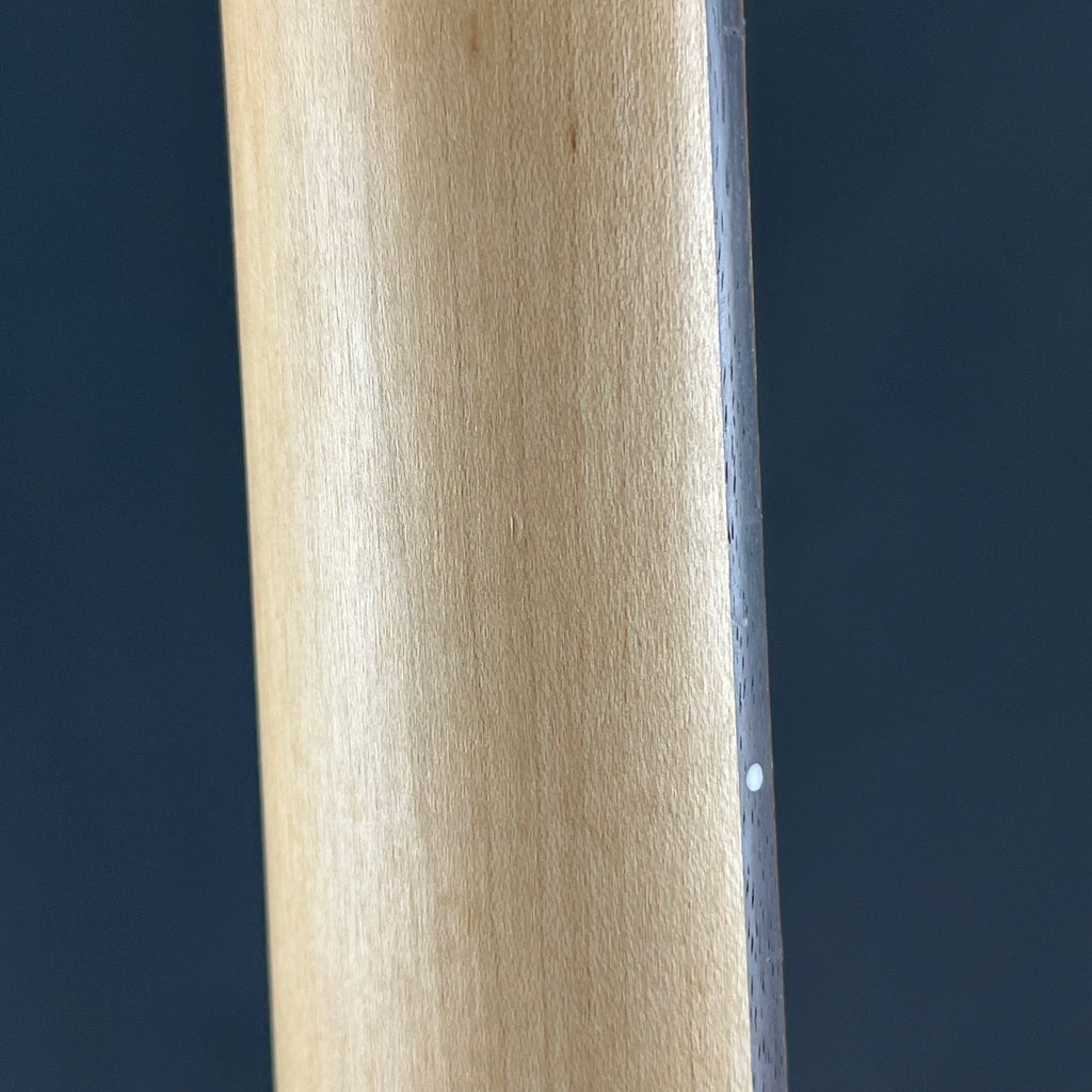 Bacchus Universe Series Stratocaster