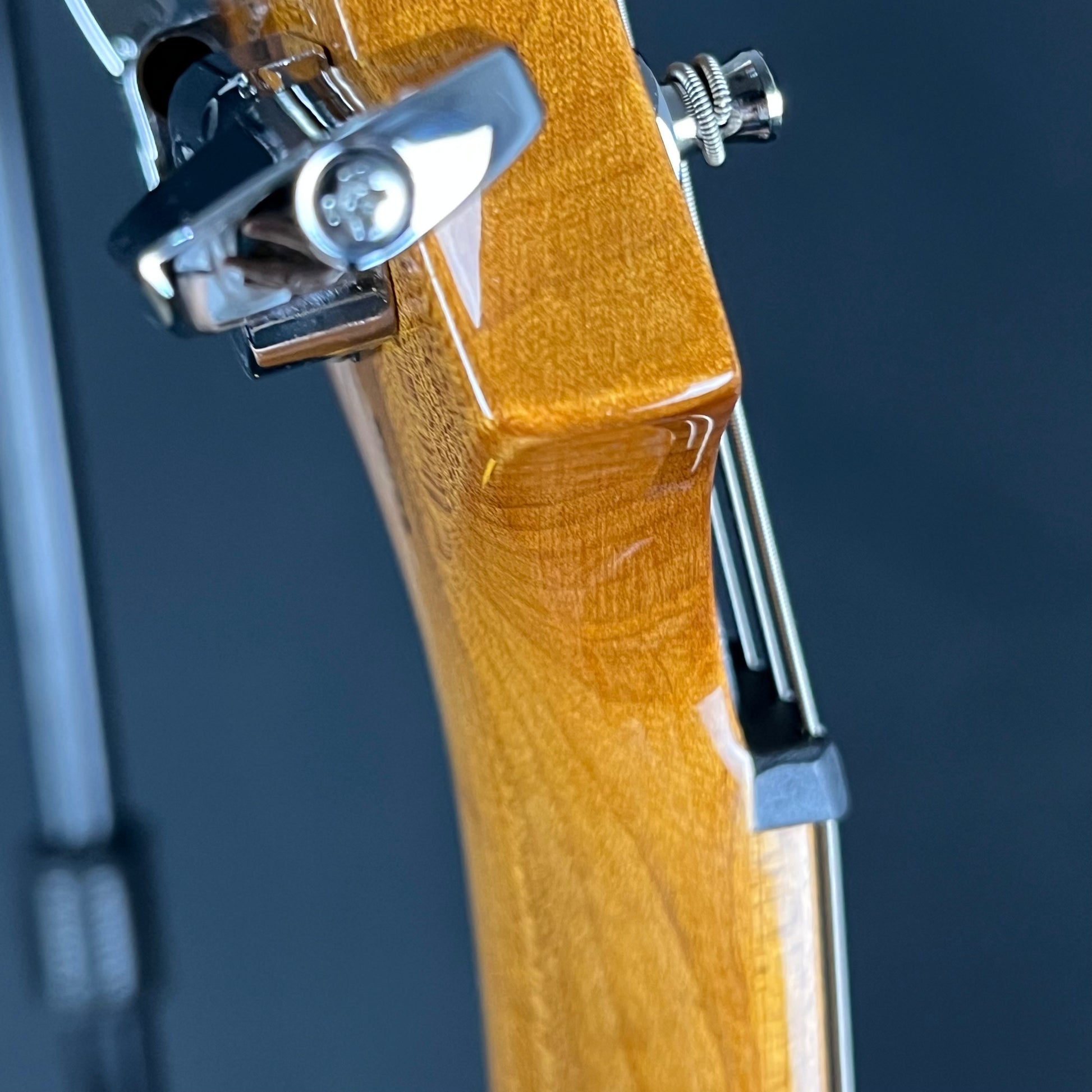 PRS SE Custom 24 Roasted Maple LTD 2019