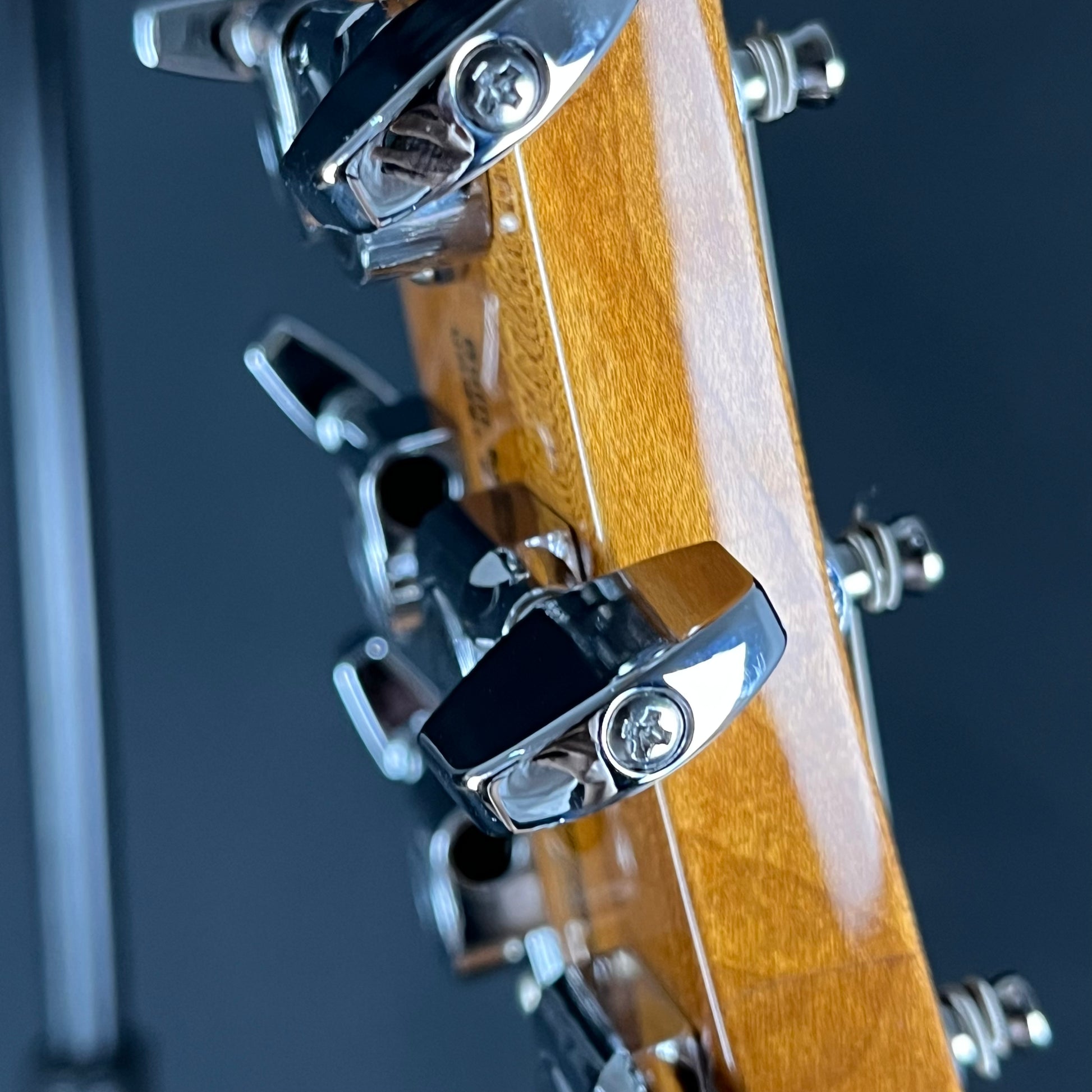 PRS SE Custom 24 Roasted Maple LTD 2019