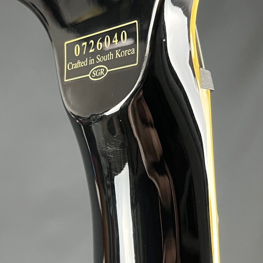 Schecter Blackjack EX Black