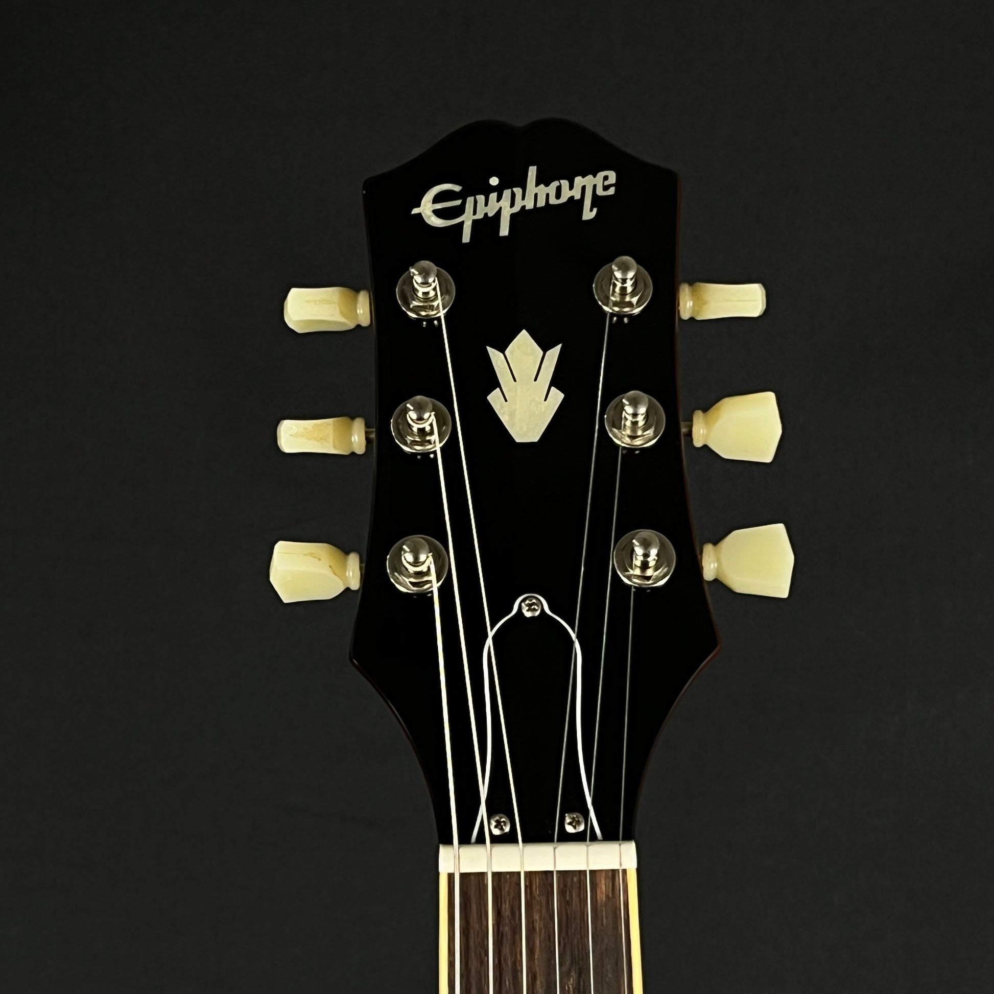 Epiphone ES-335 Figured IG