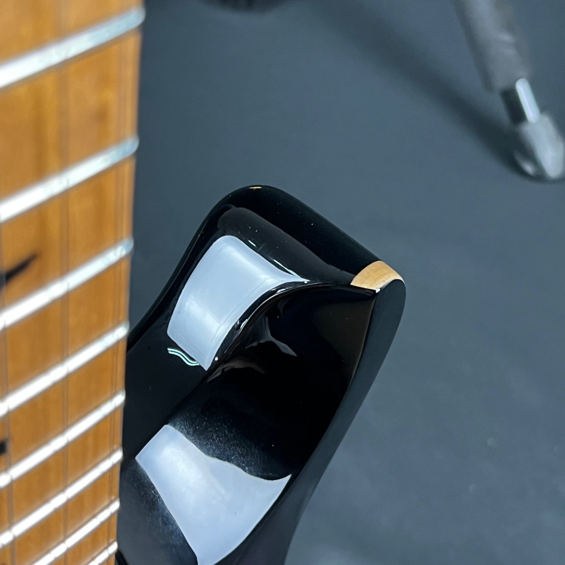 PRS SE Custom 24 Roasted Maple LTD 2019