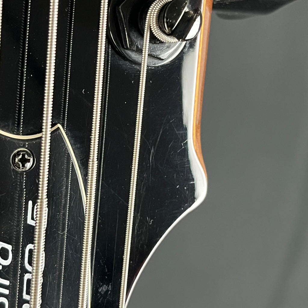 Epiphone Thunderbird Pro IV Bass