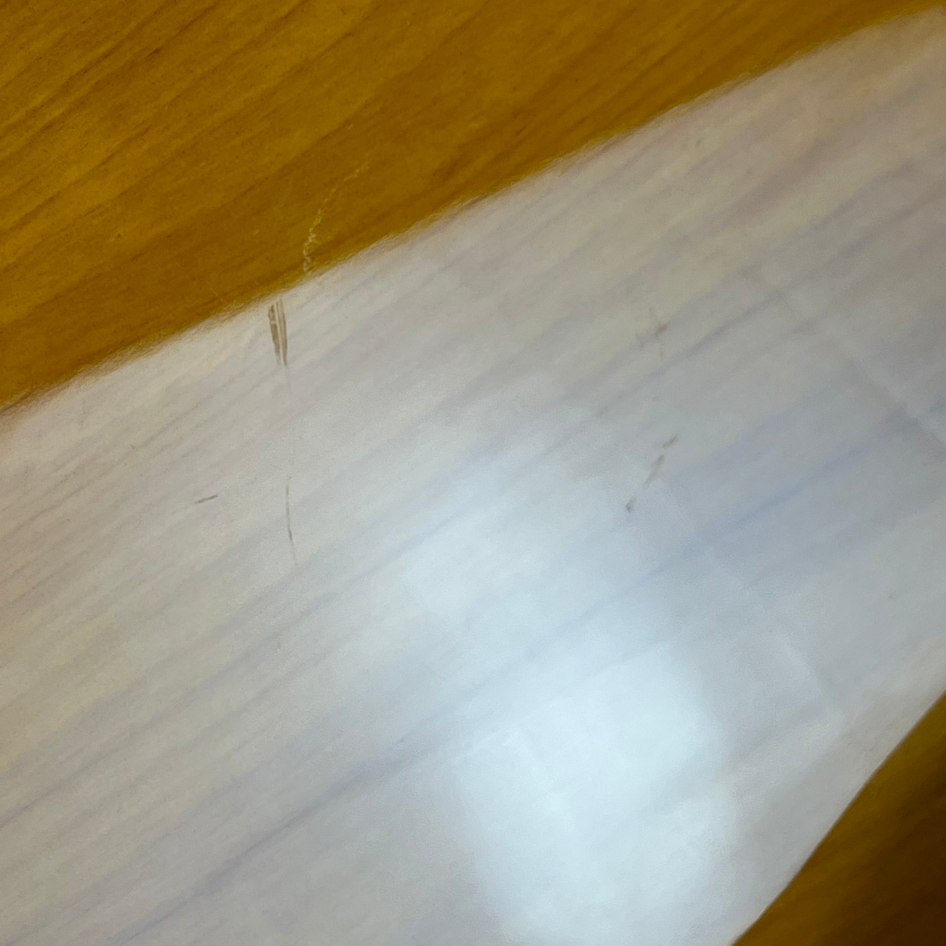 Bacchus BJB-1R Fretless
